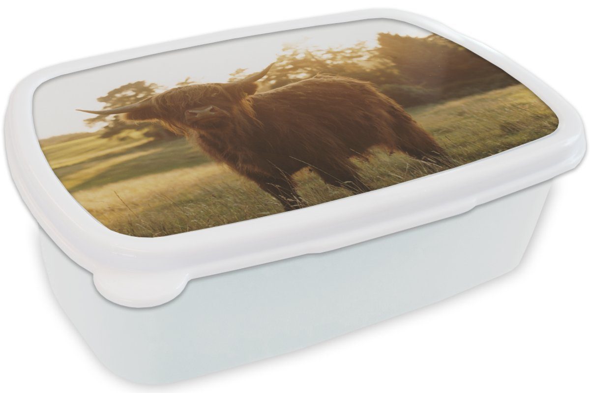 (2-tlg), Schottischer weiß - und Brotdose, Kunststoff, MuchoWow und Erwachsene, Sonne, Kinder Hochländer Lunchbox für Jungs Gras Mädchen - Brotbox für