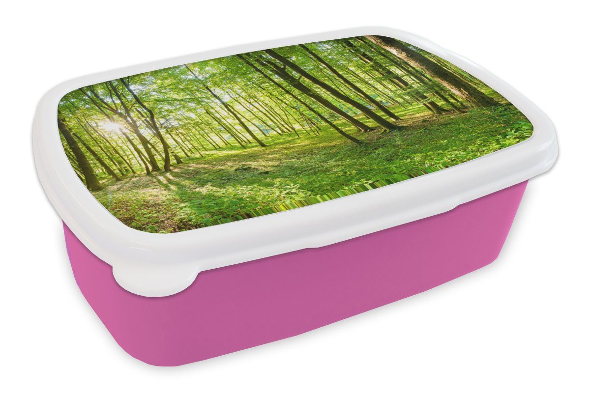 MuchoWow Lunchbox Natur - Bäume - Wald - Grün - Sonnenlicht, Kunststoff, (2-tlg), Brotbox für Erwachsene, Brotdose Kinder, Snackbox, Mädchen, Kunststoff rosa
