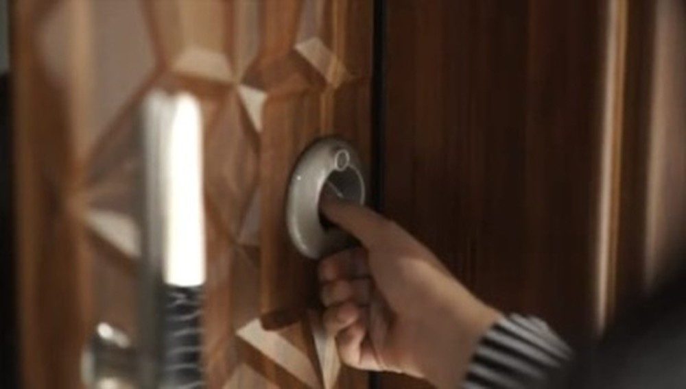 JVmoebel Brandschutztür Braune Designer Sicherheitstür aus Aluminium mit Satin-Finish (1-St), Made in Europa