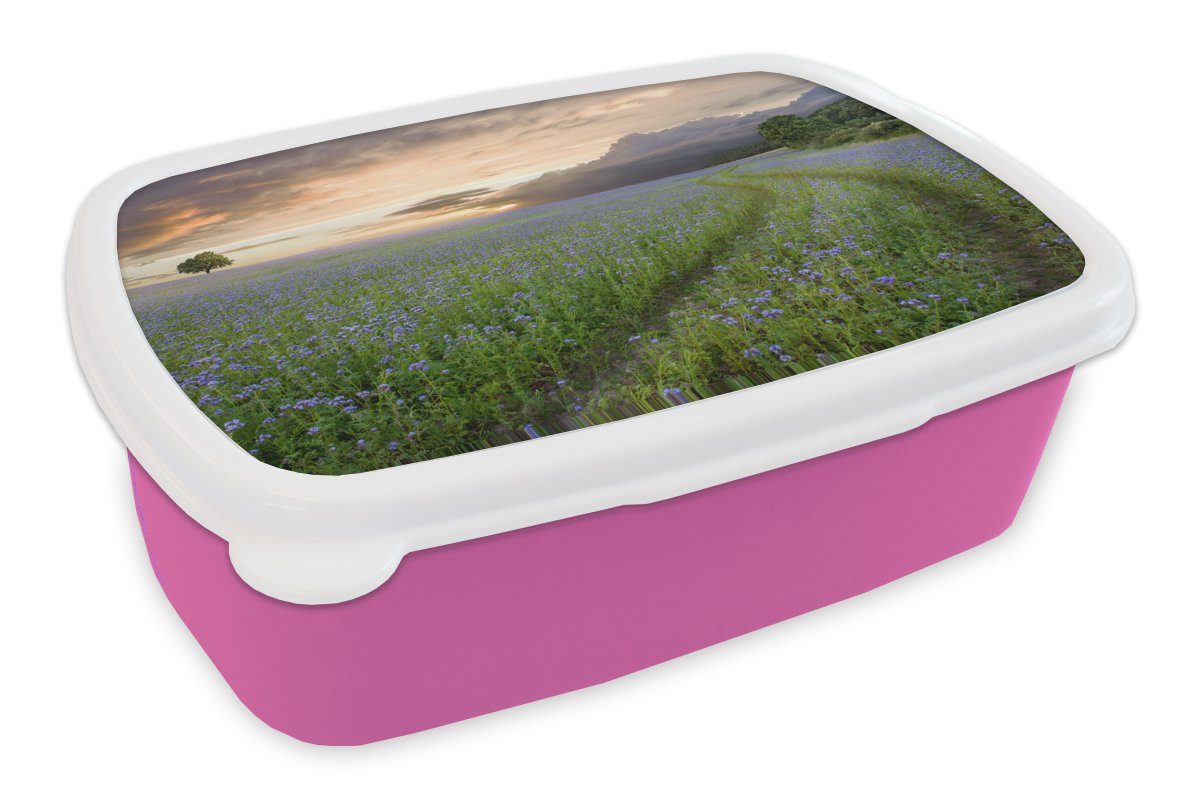 MuchoWow Lunchbox Sonnenuntergang - Blumen - Farben, Kunststoff, (2-tlg), Brotbox für Erwachsene, Brotdose Kinder, Snackbox, Mädchen, Kunststoff rosa