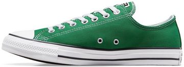 Converse CHUCK TAYLOR ALL STAR Sneaker