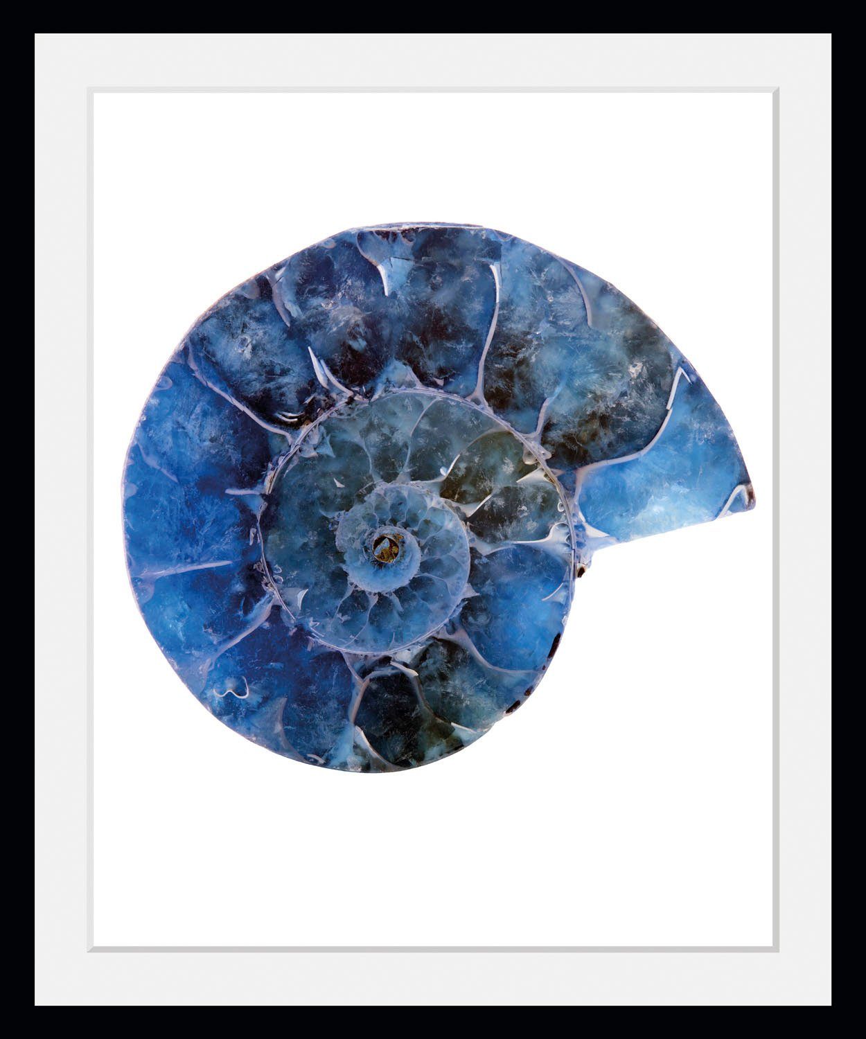 queence Bild Abel, Kunst, Meer, Wassertiere (1 St), HD Premium Poster-Druck inkl. Holzrahmen