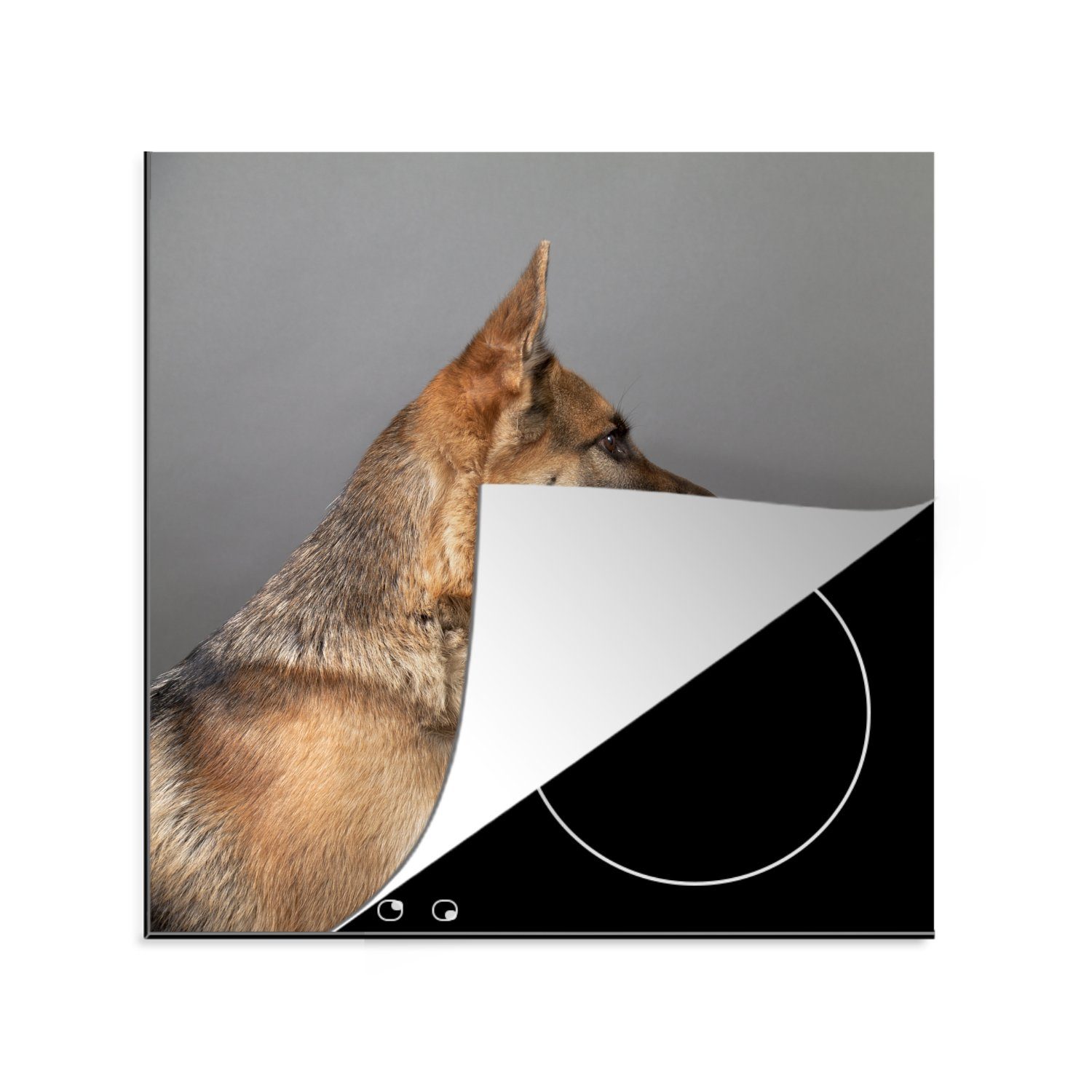 MuchoWow Herdblende-/Abdeckplatte Seitenansicht eines Deutschen Schäferhundes, Vinyl, (1 tlg), 78x78 cm, Ceranfeldabdeckung, Arbeitsplatte für küche