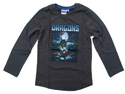 DreamWorks Langarmshirt Dragons Langarmshirt