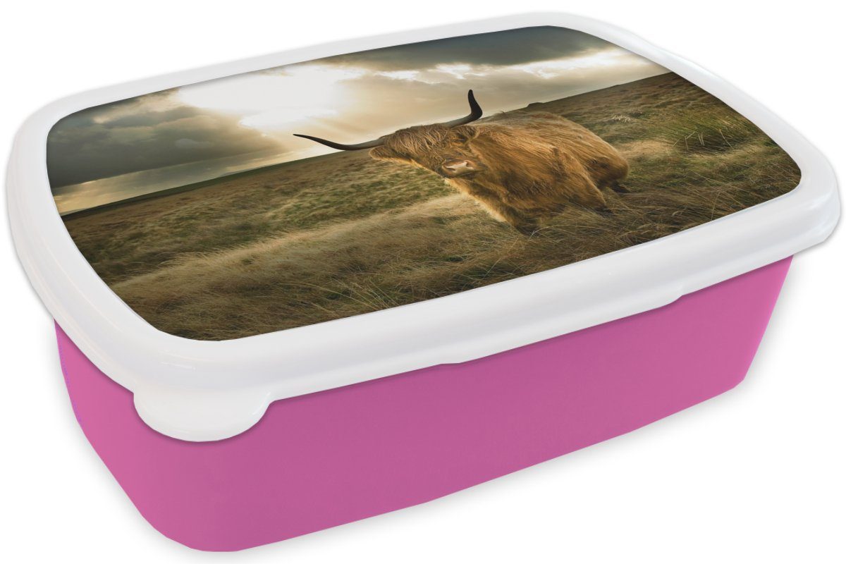 MuchoWow Lunchbox Schottischer rosa (2-tlg), Kunststoff Hochländer - Brotdose für Kinder, Brotbox Tiere, Snackbox, - Erwachsene, Kunststoff, Mädchen, Sonne