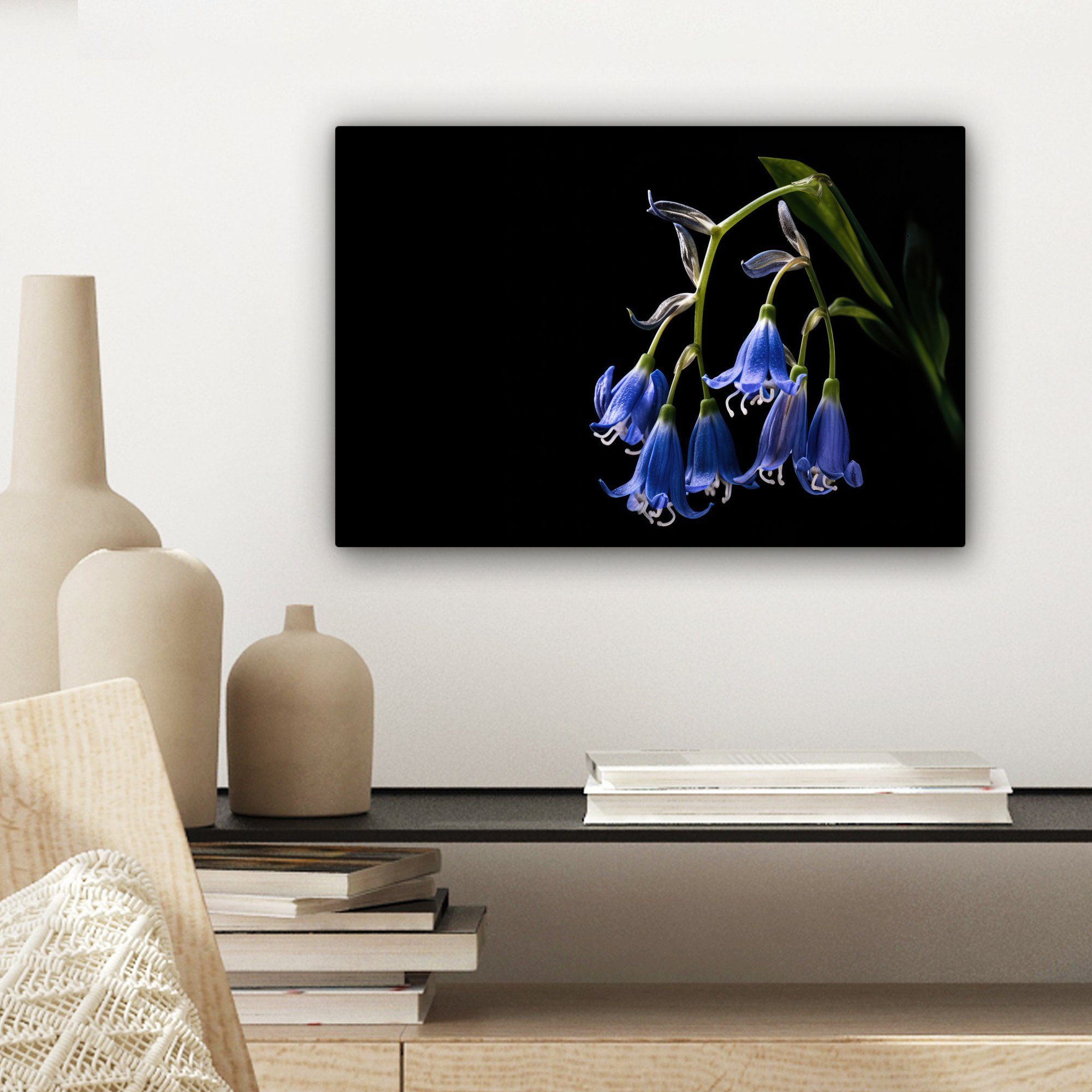- Blumen - Leinwandbilder, - 30x20 Natur cm Hyazinthe Aufhängefertig, St), Schwarz, Blau Wandbild OneMillionCanvasses® - Wanddeko, Leinwandbild (1