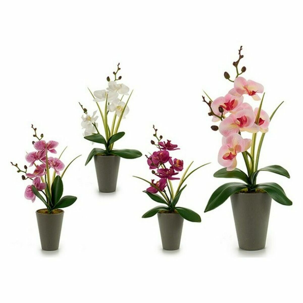 12 cm Dekorationspflanze x Orchidee x Ibergarden Dekoobjekt Stück 8 14 35 Kunststoff