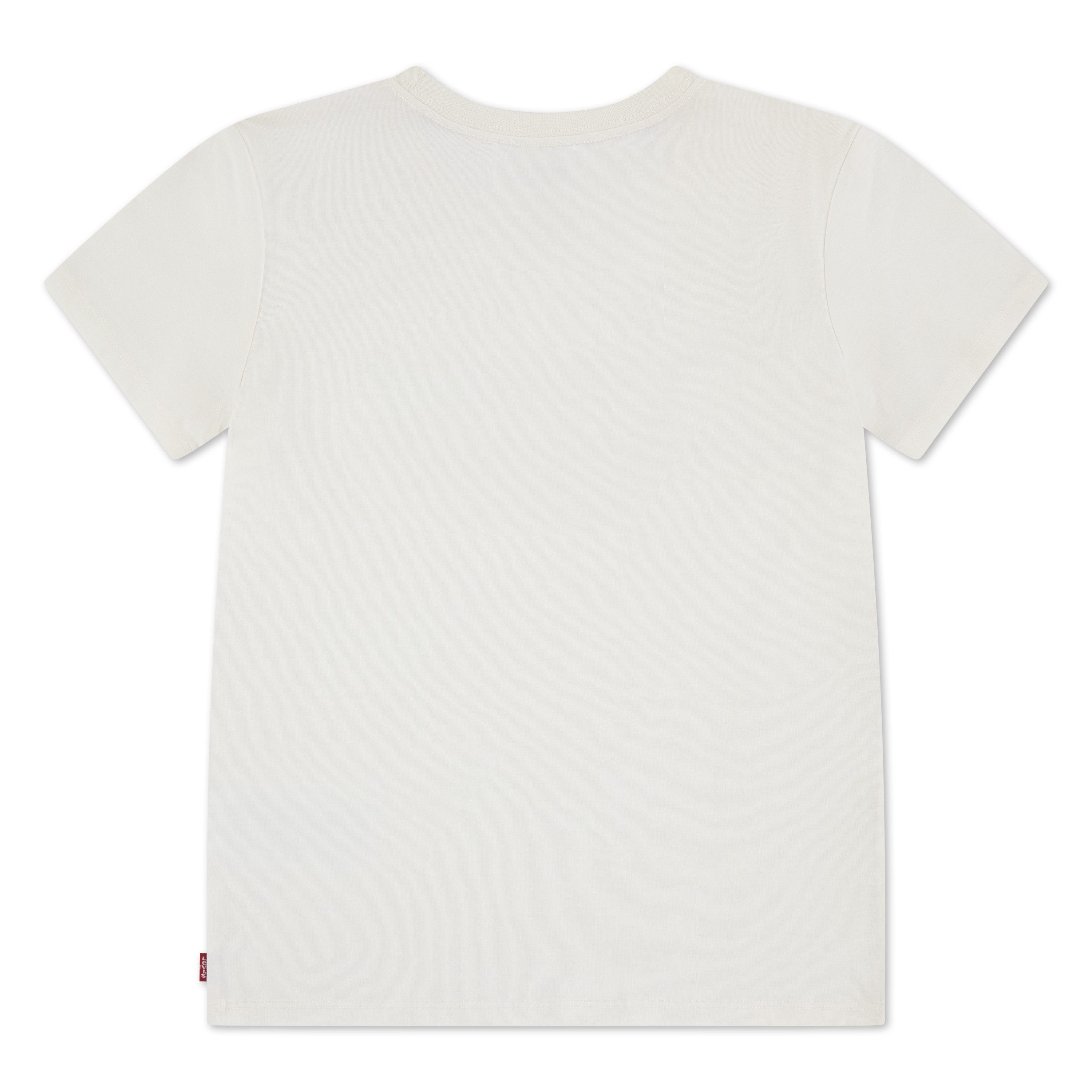 Levi's® Kids T-Shirt LVG OMBRE BATWING TEE mit Sundowner-Logoprint