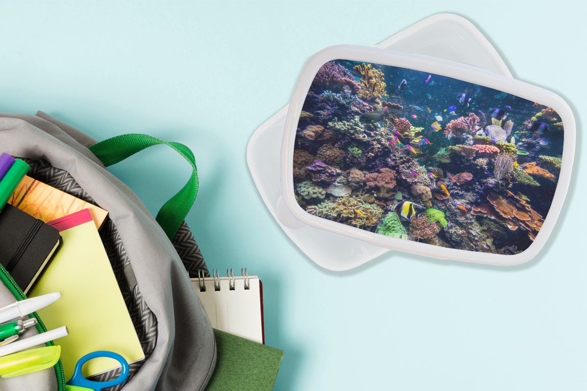 Korallen, für schwimmen Kunststoff, weiß zwischen den und (2-tlg), Erwachsene, und all für Lunchbox Brotdose, Jungs Kinder Brotbox MuchoWow Bunte Mädchen Fische