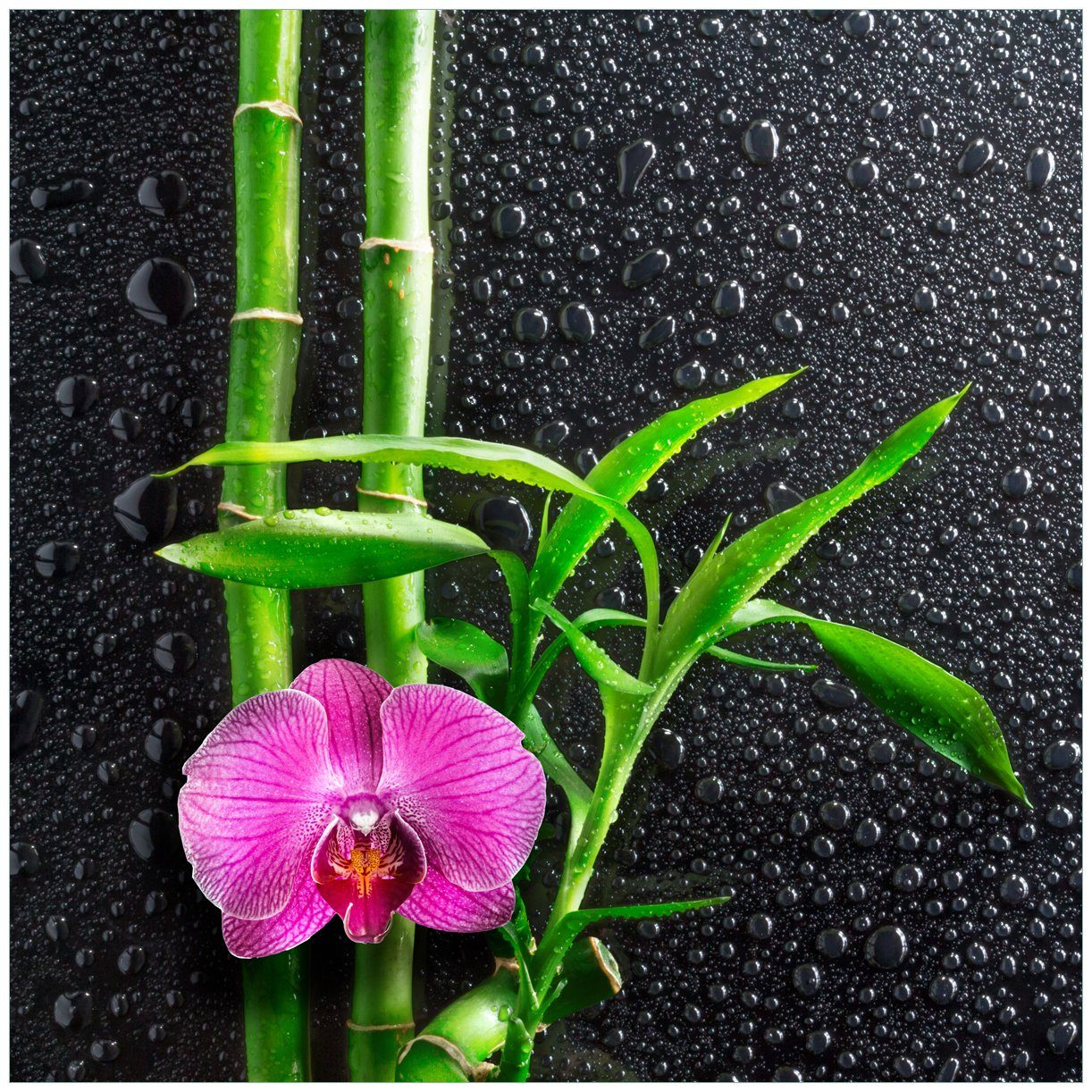 Wallario Tischplatte Bambus und pinke Orchidee auf schwarzem Glas mit Regentropfen (1 St), für Ikea Lack Tisch geeignet