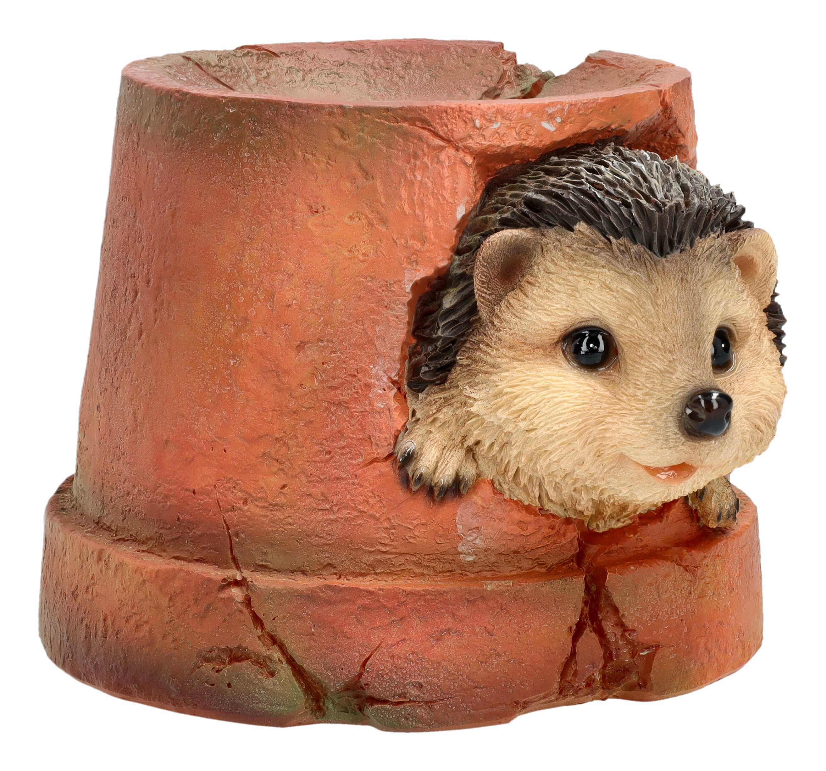 Figuren Shop GmbH Gartenfigur Gartenfigur Igel günstig online kaufen