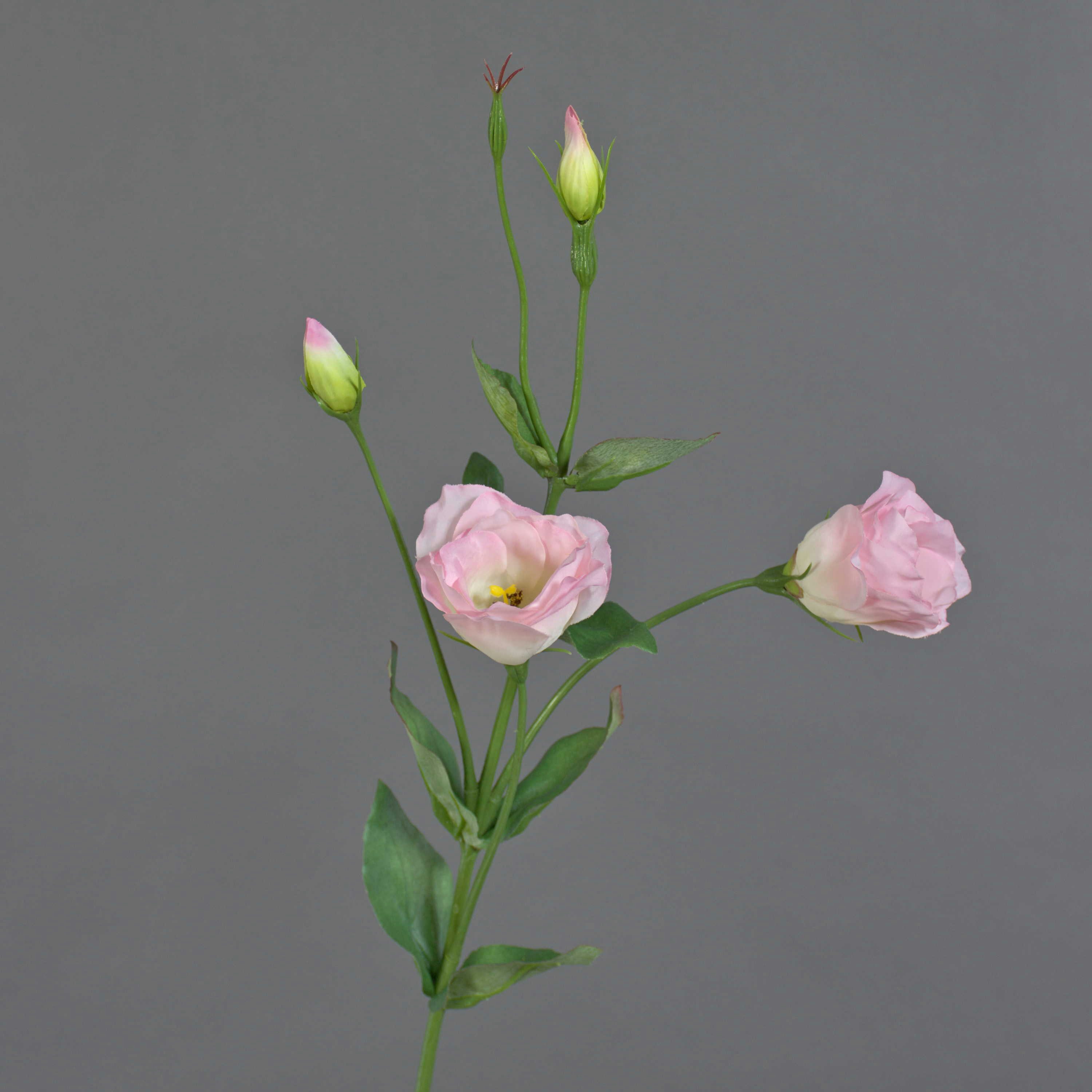 Kunstzweig Künstliche Blume Lisianthus JUDIKA, rosa, 70cm, Ø 5cm Lisianthus, artplants, Höhe 70.0 cm