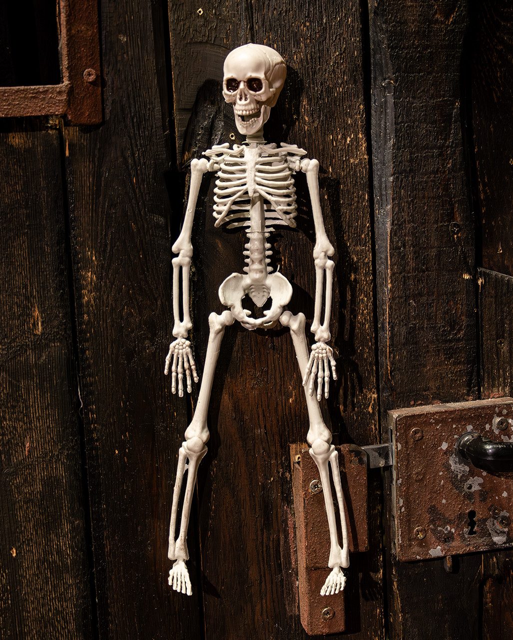 Horror-Shop Dekoobjekt Halloween Skelett 40 cm - Beweglich – Bild 3 von 5