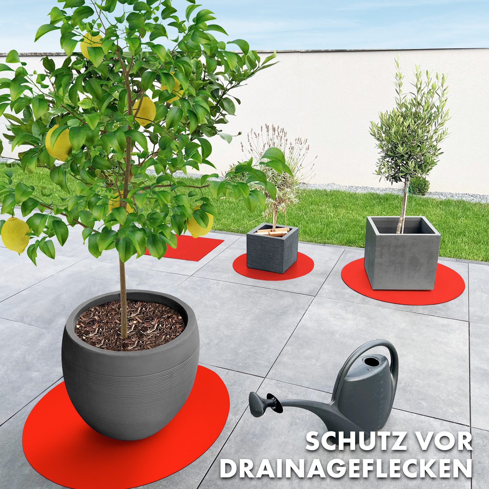 Karat Blumentopfuntersetzer mit abgeschrägter Kante Majesty, In vielen Farben und Größen