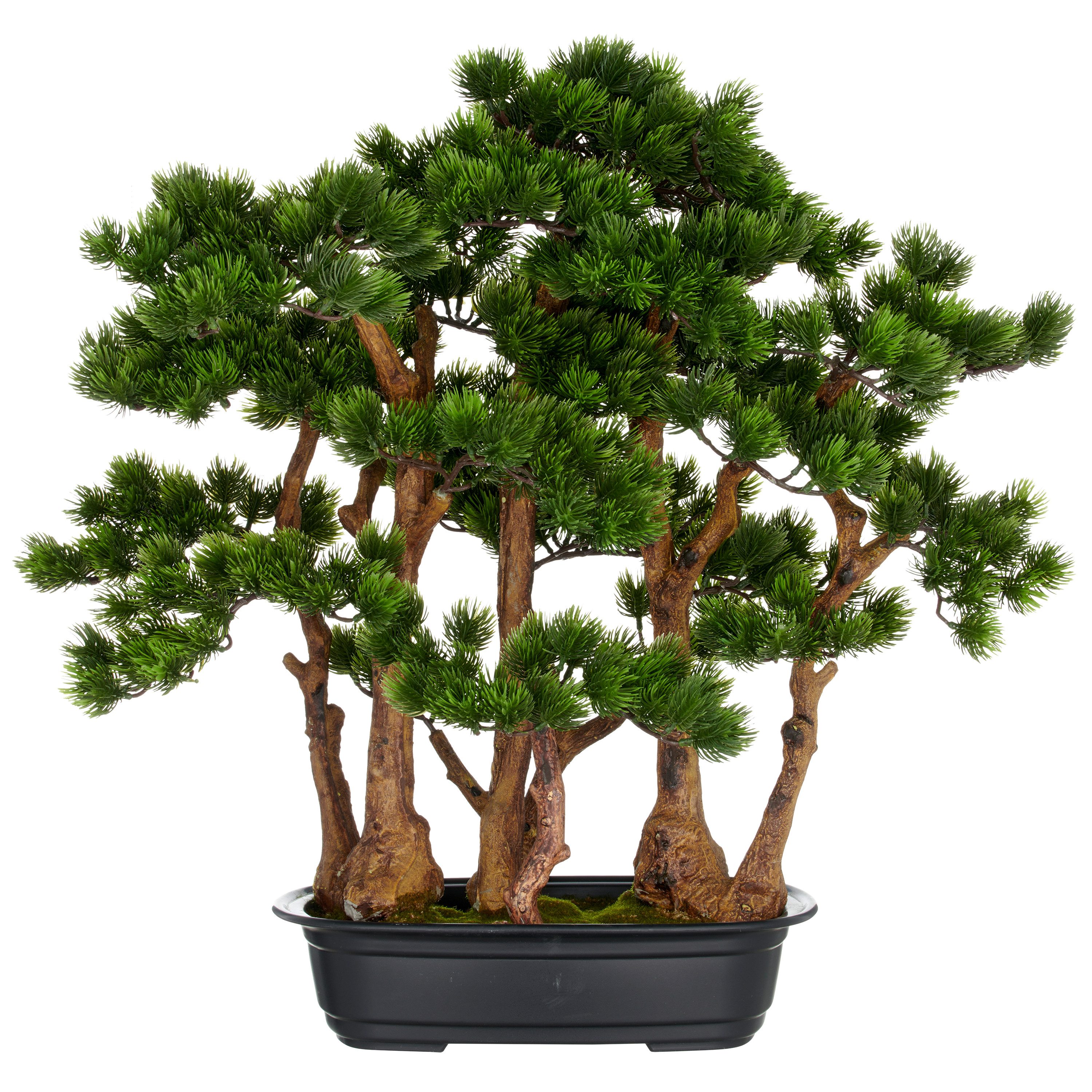 Kunstbonsai Bonsai Kiefer, Creativ green, Höhe 60 cm, mit detailgetreuer Gestaltung