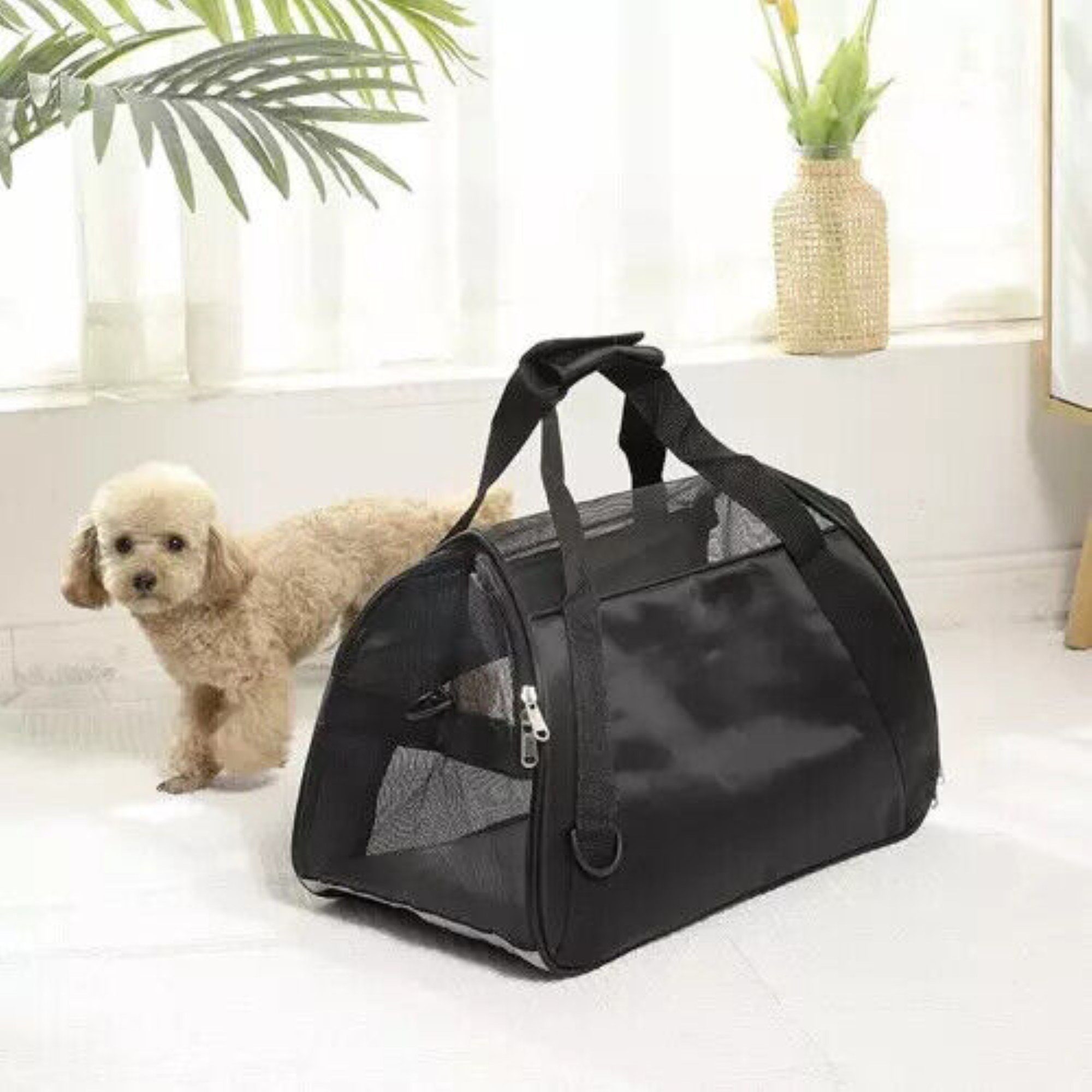 Purlov Tiertransporttasche Transporttasche für Hunde/Katzen, komfortabel und sicher bis 8,00 kg, Sicherer Transport für Haustiere, stabil und komfortabel.