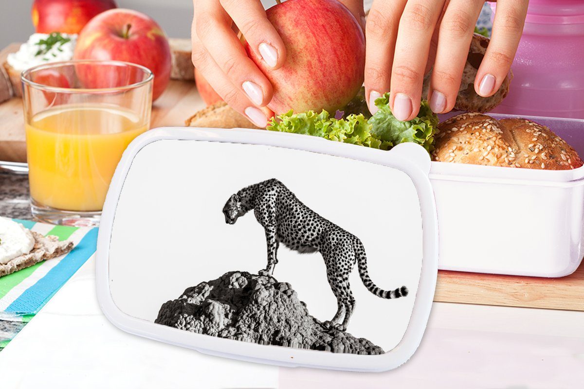 und Lunchbox Raubtier Panther MuchoWow Jungs - Kinder für weiß für Mädchen Kunststoff, Tiere und - Natur, Brotbox Brotdose, (2-tlg), - Erwachsene,