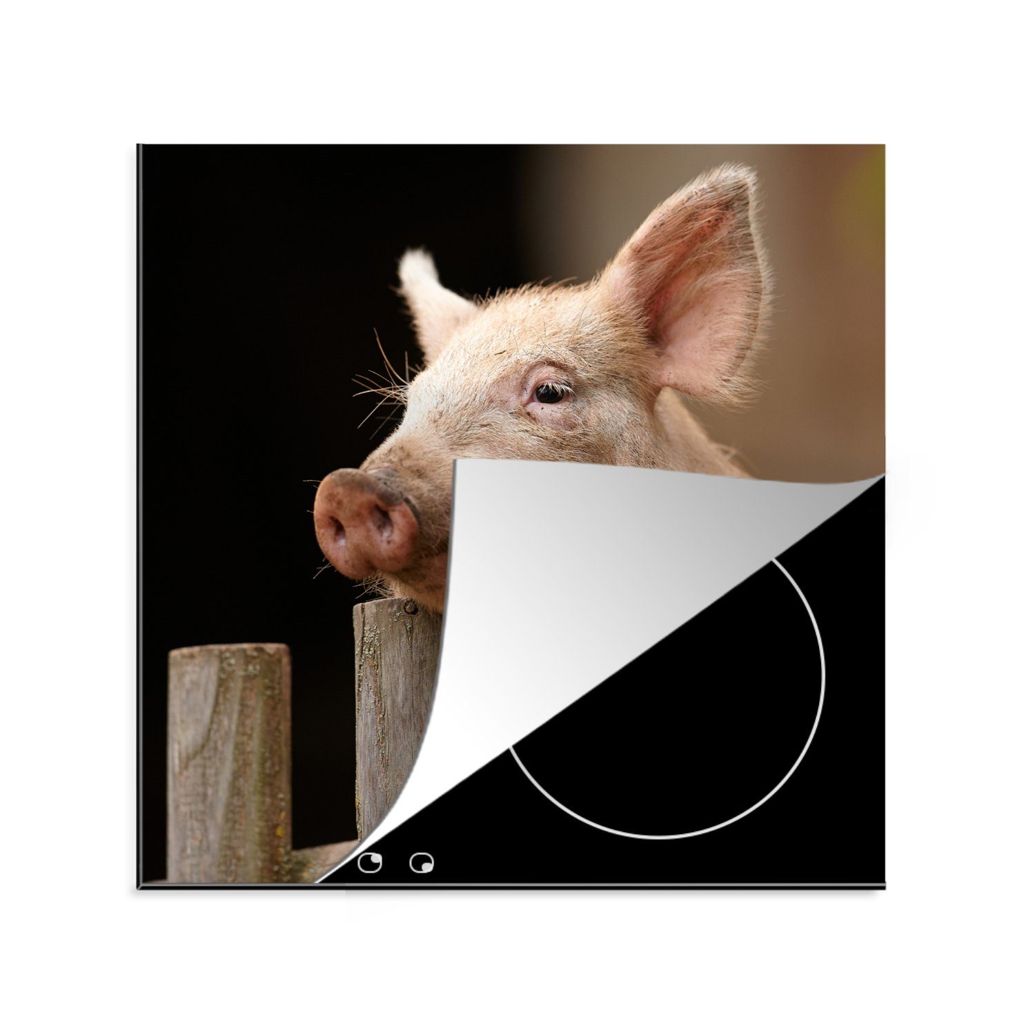 MuchoWow Herdblende-/Abdeckplatte Schwein - Tier - Zaun, Vinyl, (1 tlg), 78x78 cm, Ceranfeldabdeckung, Arbeitsplatte für küche