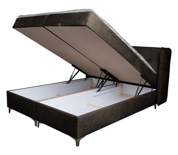 Furnix Polsterbett TOLIE 120,140,160,180,200x200 cm Bett mit Bettkasten und Topper, wahlweise in 5 Größen und 7 Farben