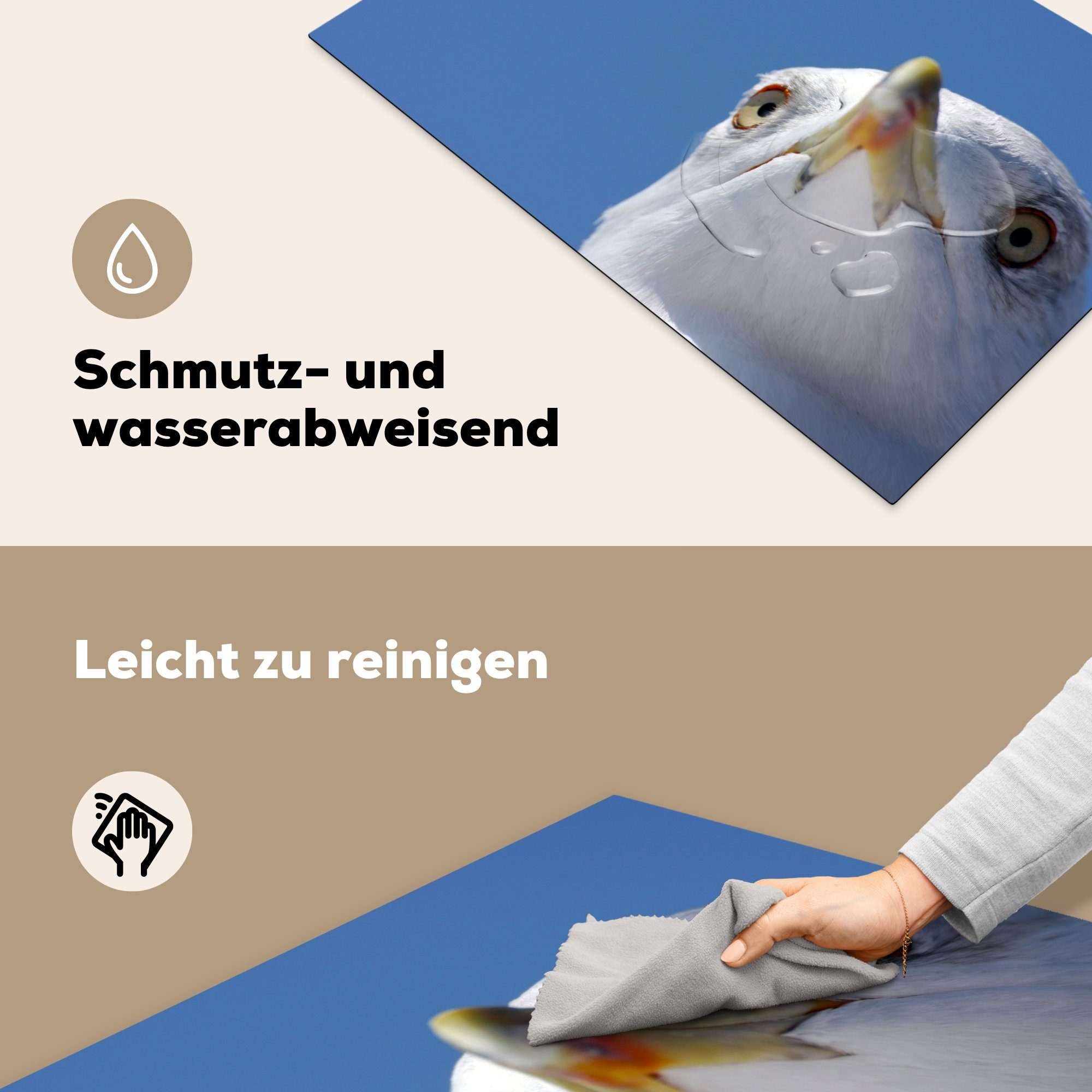 Vogel Vinyl, 81x52 küche, für (1 - cm, Induktionskochfeld Blau, Herdblende-/Abdeckplatte die tlg), Schutz Möwe MuchoWow Ceranfeldabdeckung -