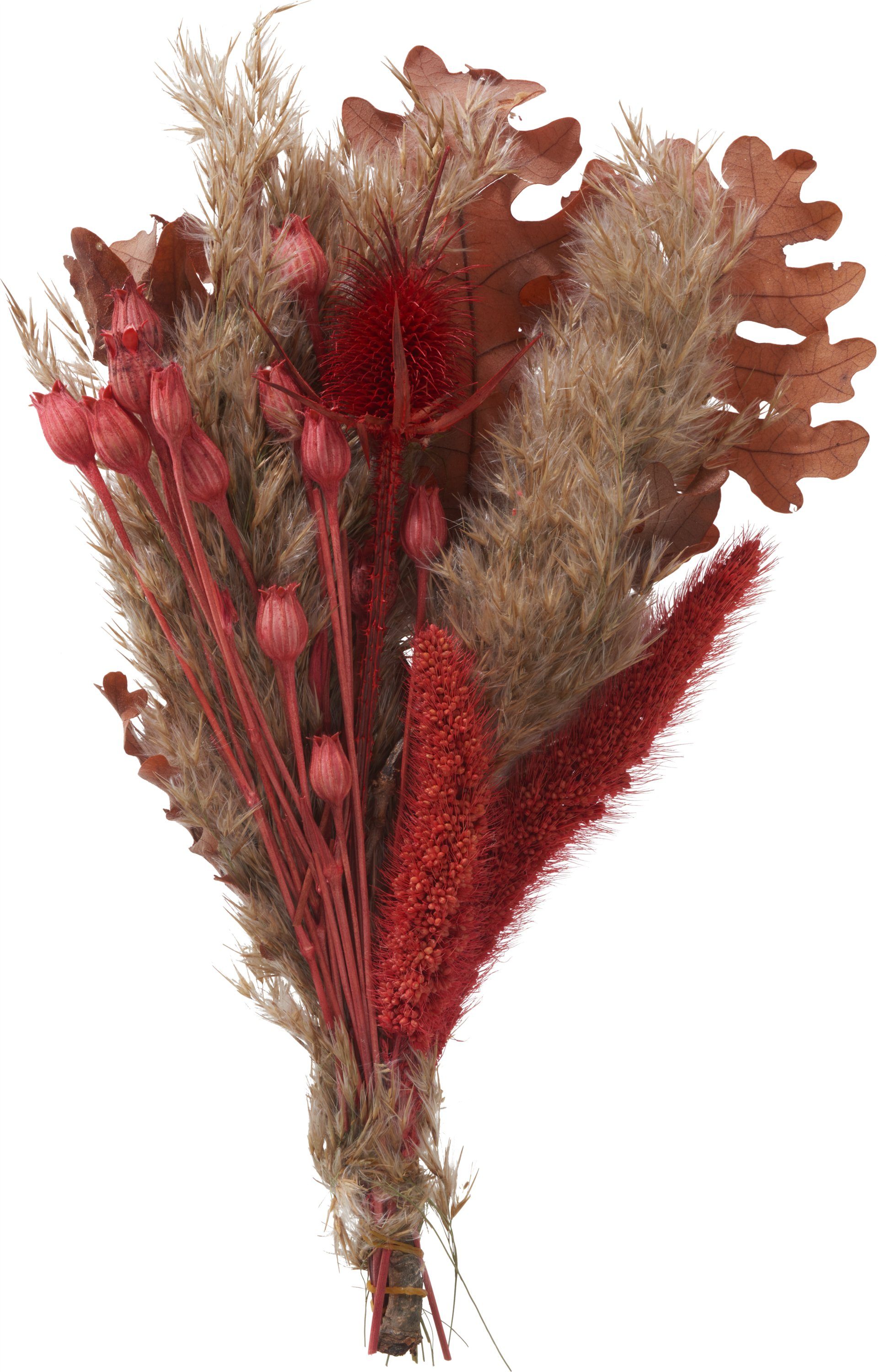 Kunstpflanze Trockenblumen Set Decorations, cm, ca. 25 \'Red\', cm 25 L Othmar