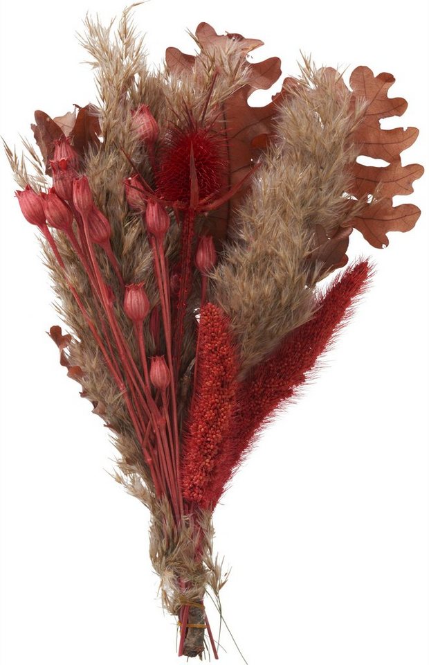 Kunstpflanze Trockenblumen Set \'Red\', L ca. 25 cm, Othmar Decorations, 25 cm