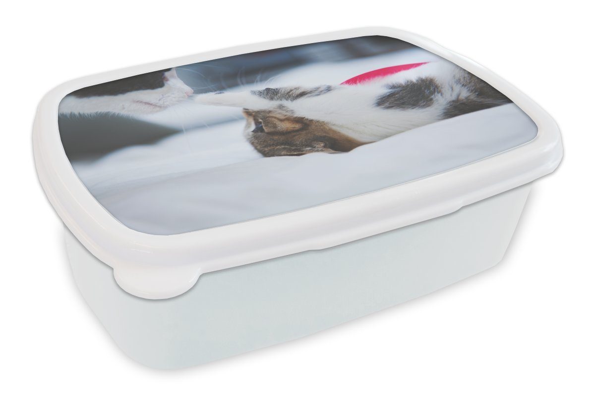 MuchoWow Lunchbox Katze - Kätzchen - Bettlaken, Kunststoff, (2-tlg), Brotbox für Kinder und Erwachsene, Brotdose, für Jungs und Mädchen weiß