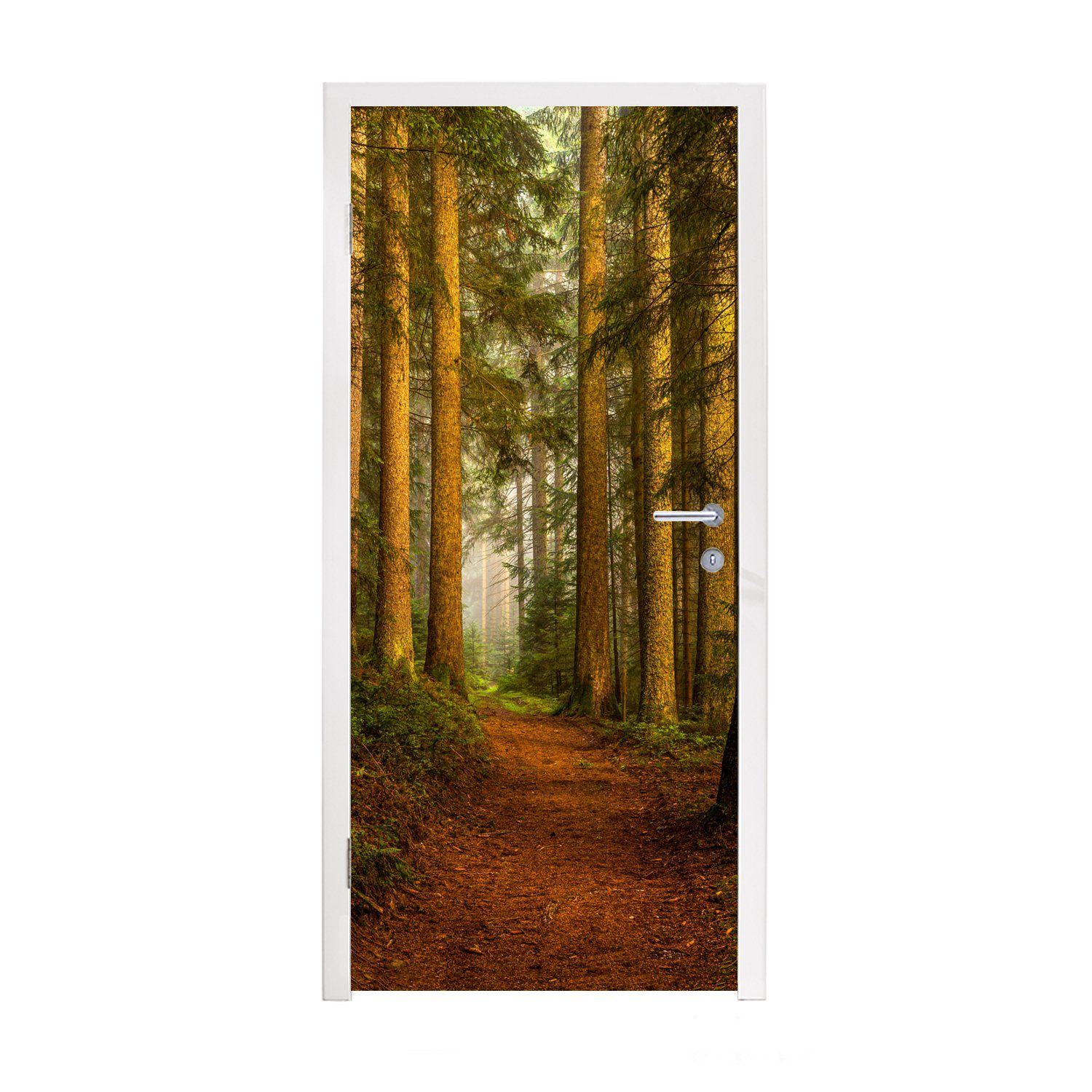 MuchoWow Türtapete Wald - Natur - Bäume - Landschaft - Laub, Matt, bedruckt, (1 St), Fototapete für Tür, Türaufkleber, 75x205 cm