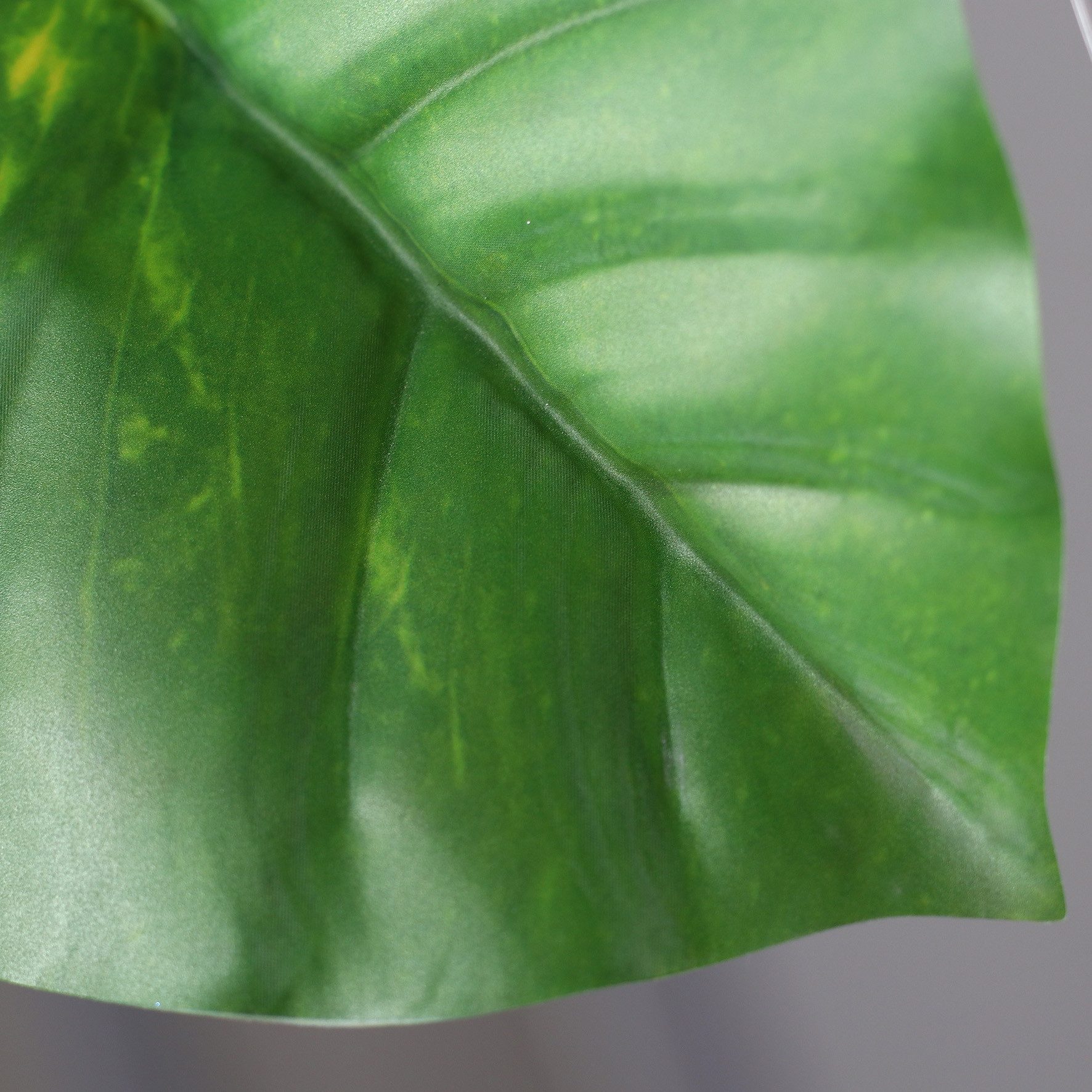 Kunstgirlande Photosgirlande Real Touch 200cm DP Kunstpflanzen künstliche Pflanzen Photos, Seidenblumen Roß, Höhe 200 cm