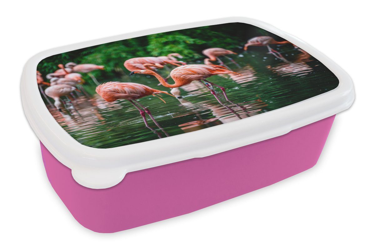 MuchoWow Lunchbox Flamingo - Tropisch - Vogel - Wasser - Rosa, Kunststoff, (2-tlg), Brotbox für Erwachsene, Brotdose Kinder, Snackbox, Mädchen, Kunststoff