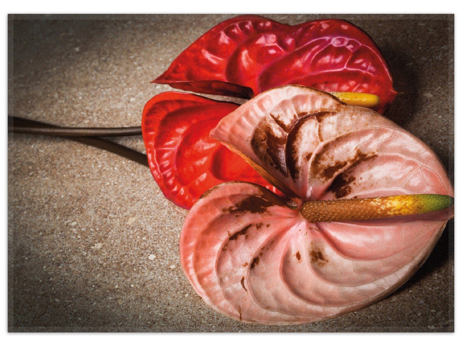 Teppich Blüten einer Flamingoblume - Anthurie - auf schwarzem Marmor