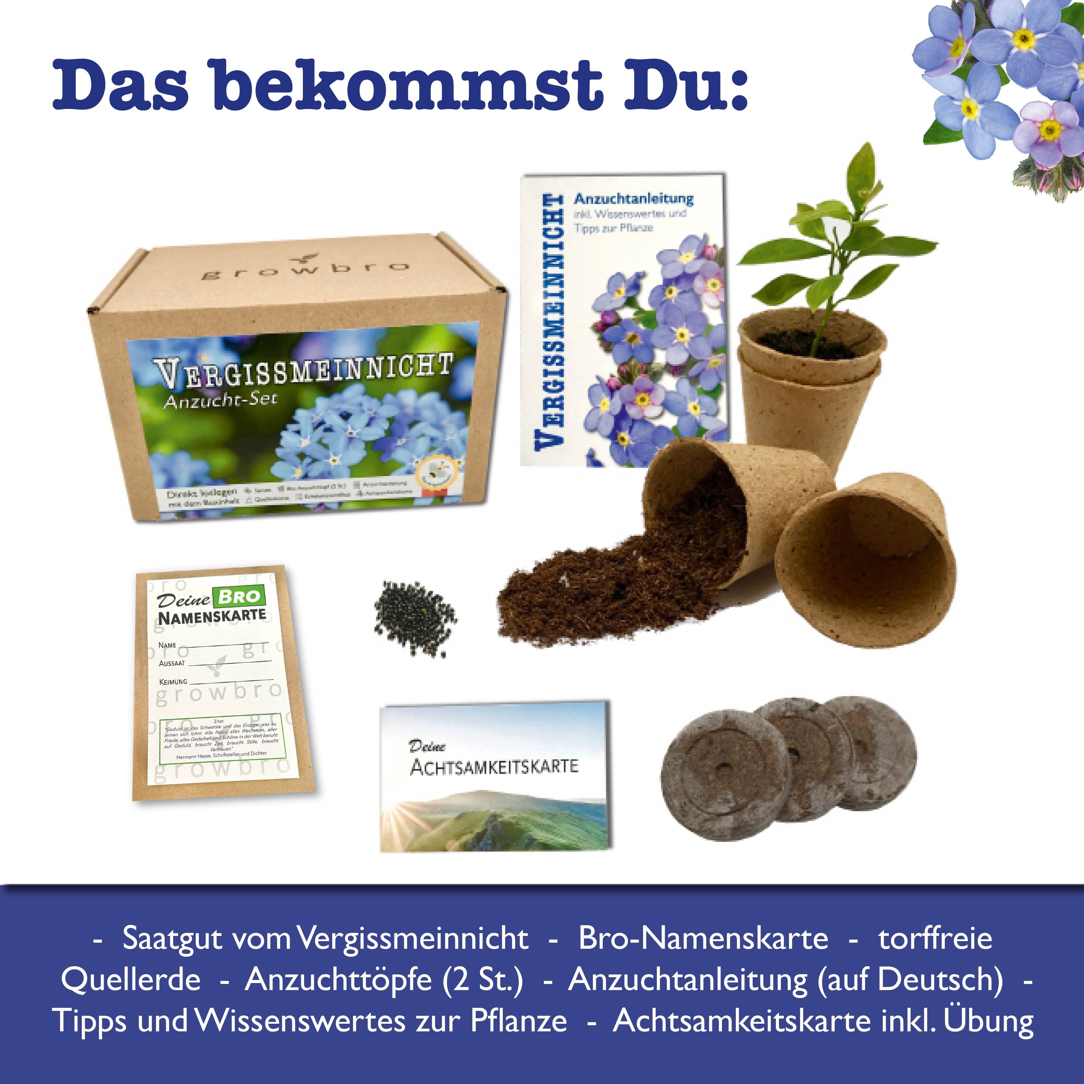 Kunstblume VergissMeinNicht Anzuchtset, ZÜCHTE Dein EIGENES LIEBESSYMBOL, g günstig online kaufen