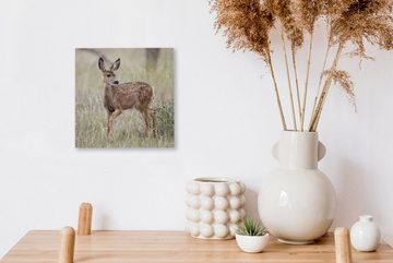 OneMillionCanvasses® Leinwandbild Hirsche - Gras - Punkte, (1 St), Leinwand Bilder für Wohnzimmer Schlafzimmer