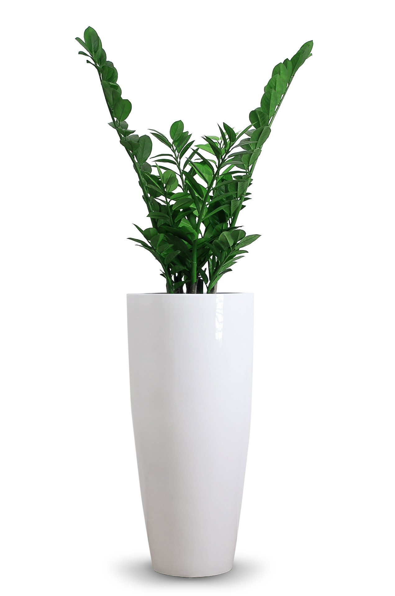 VIVANNO Pflanzkübel Fiberglas CITY Rund - günstig online kaufen