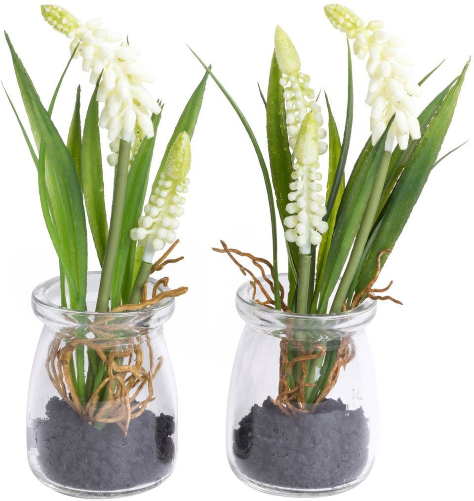 Kunstblume Muscariarrangement im Glas, Botanic-Haus, Höhe 17 cm. € 13,93