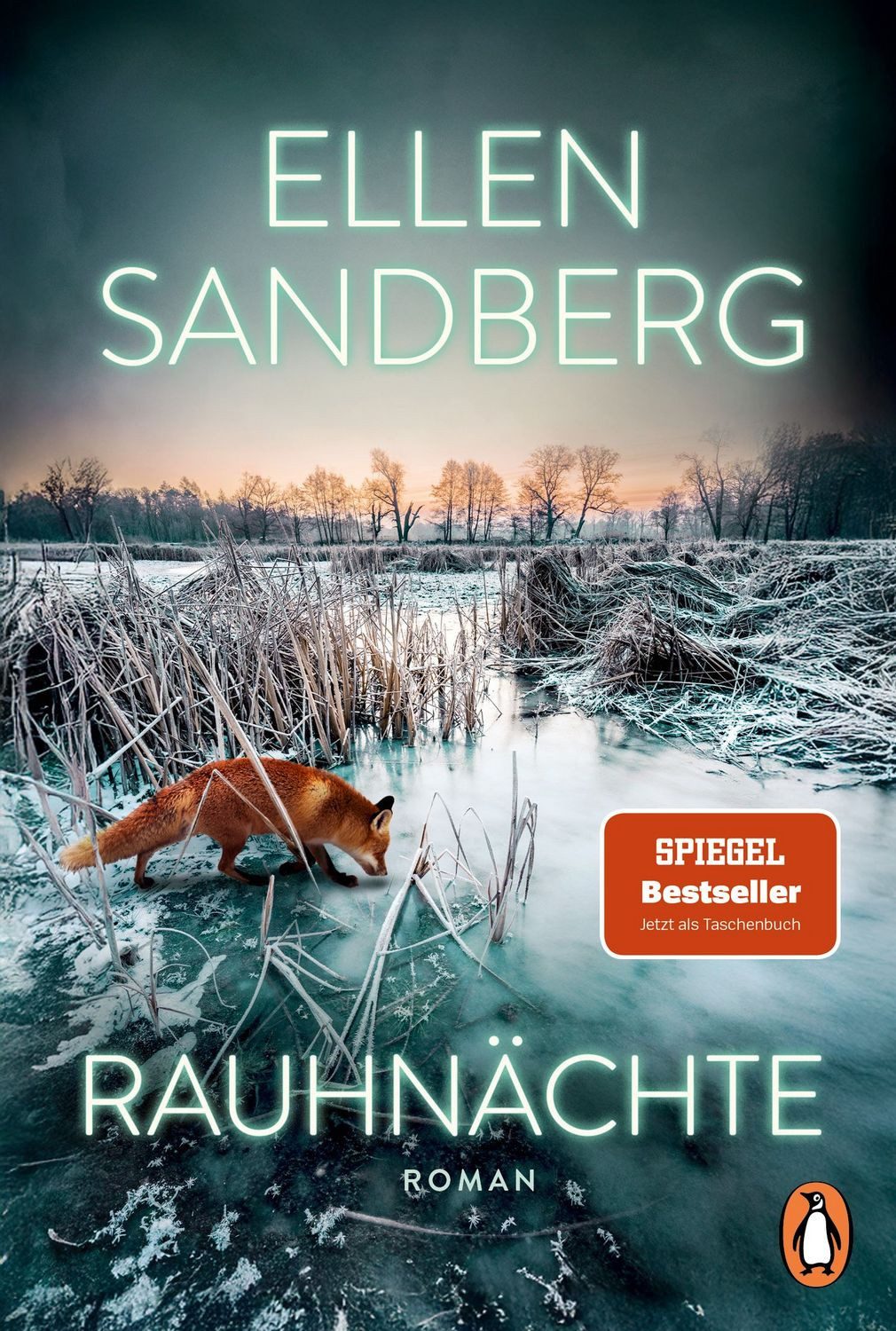 Rauhnächte / Ellen Sandberg