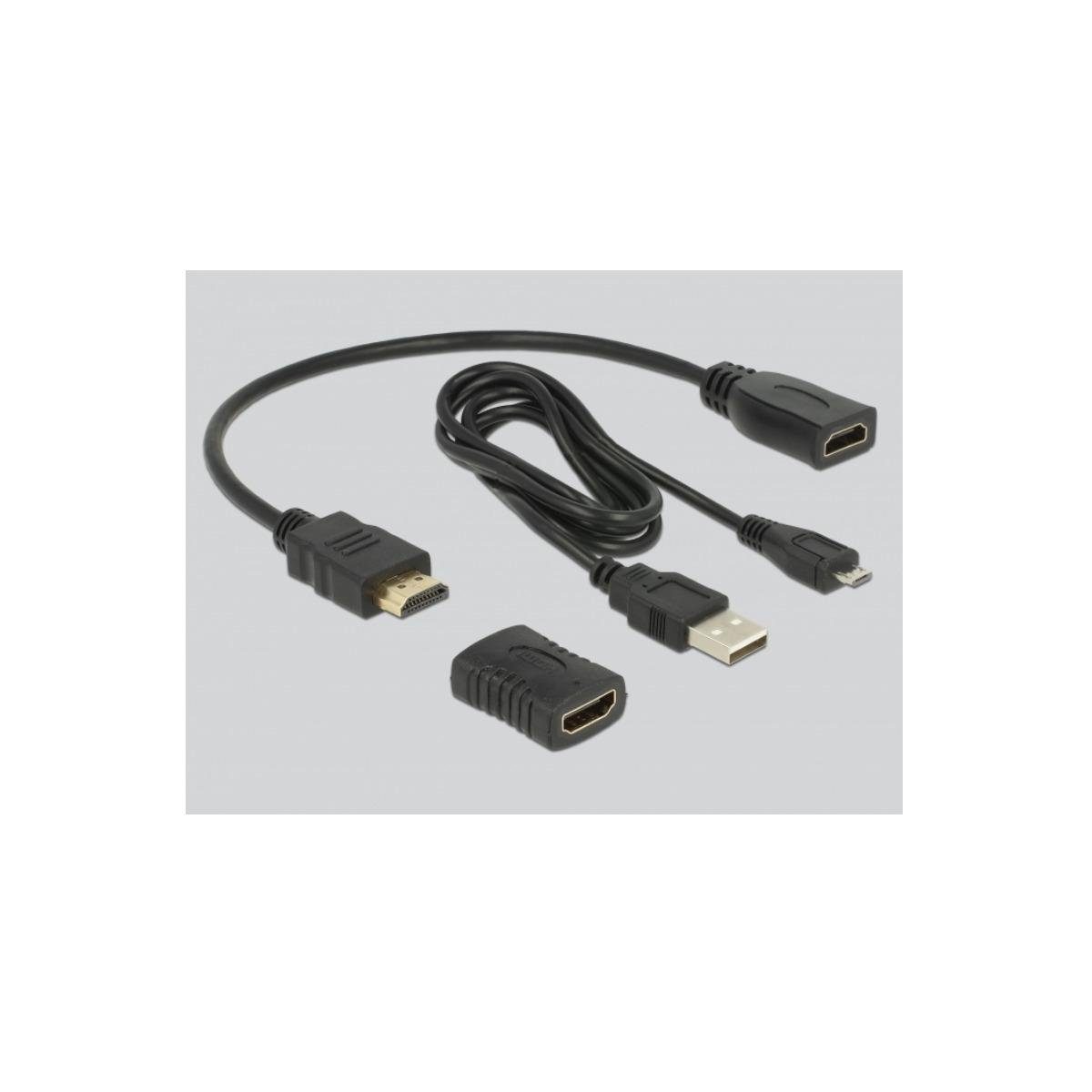 Delock 63327 - HDMI-Tester - EDID-Information HDMI-A, mit Computer-Kabel, HDMI OLED-Anzeige Für