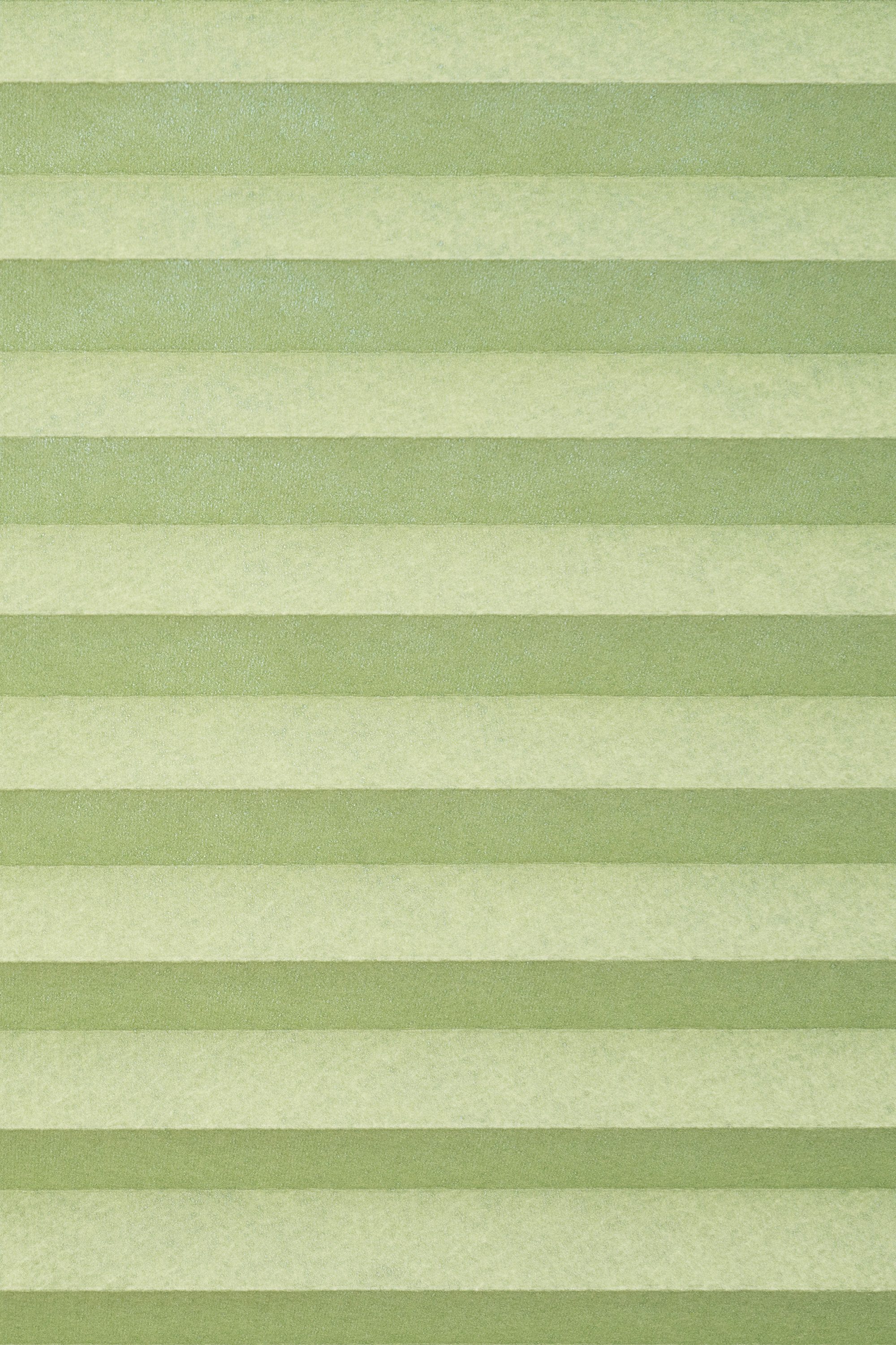 LYSEL® Plissee Klemmen Grasgrün, blickdicht, HxB 130x45cm günstig online kaufen