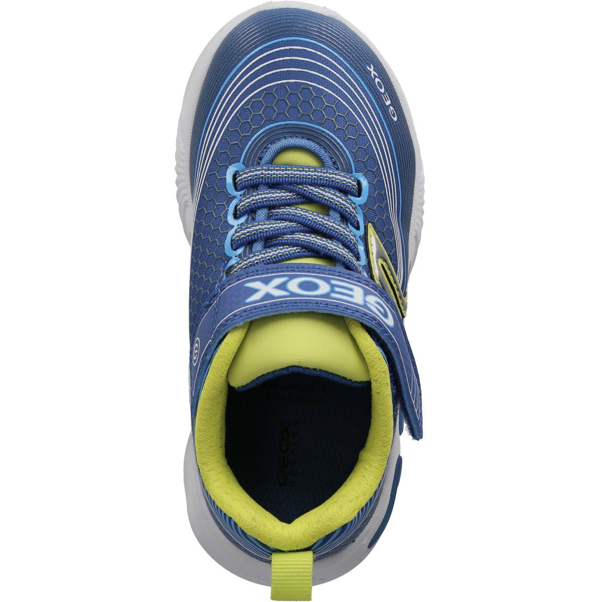 Geox ASSISTER Sneaker ROYAL/LIME