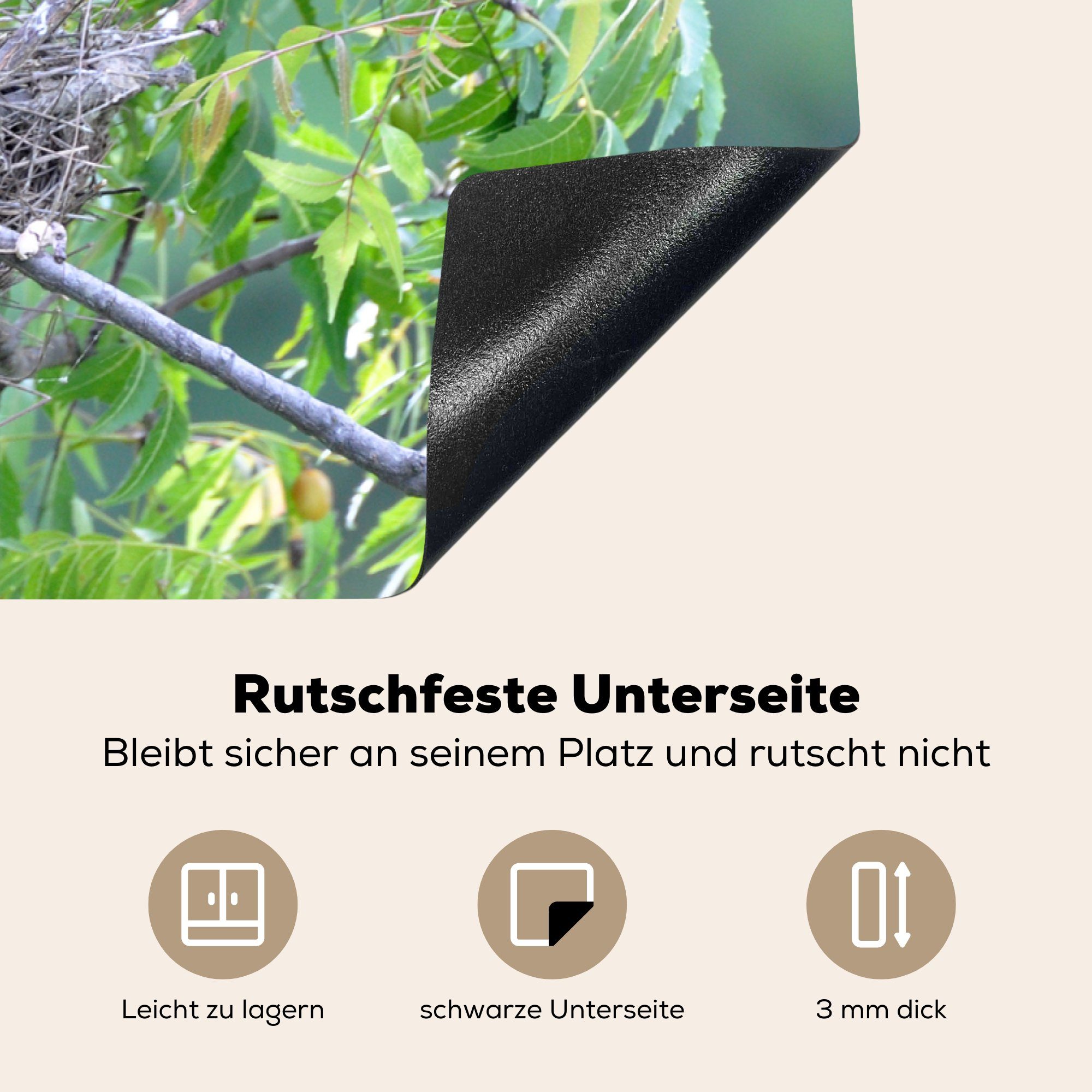 Junge Nest, 81x52 Induktionskochfeld für Vinyl, (1 füttert cm, Schutz tlg), küche, Vogel die im Ceranfeldabdeckung MuchoWow Herdblende-/Abdeckplatte