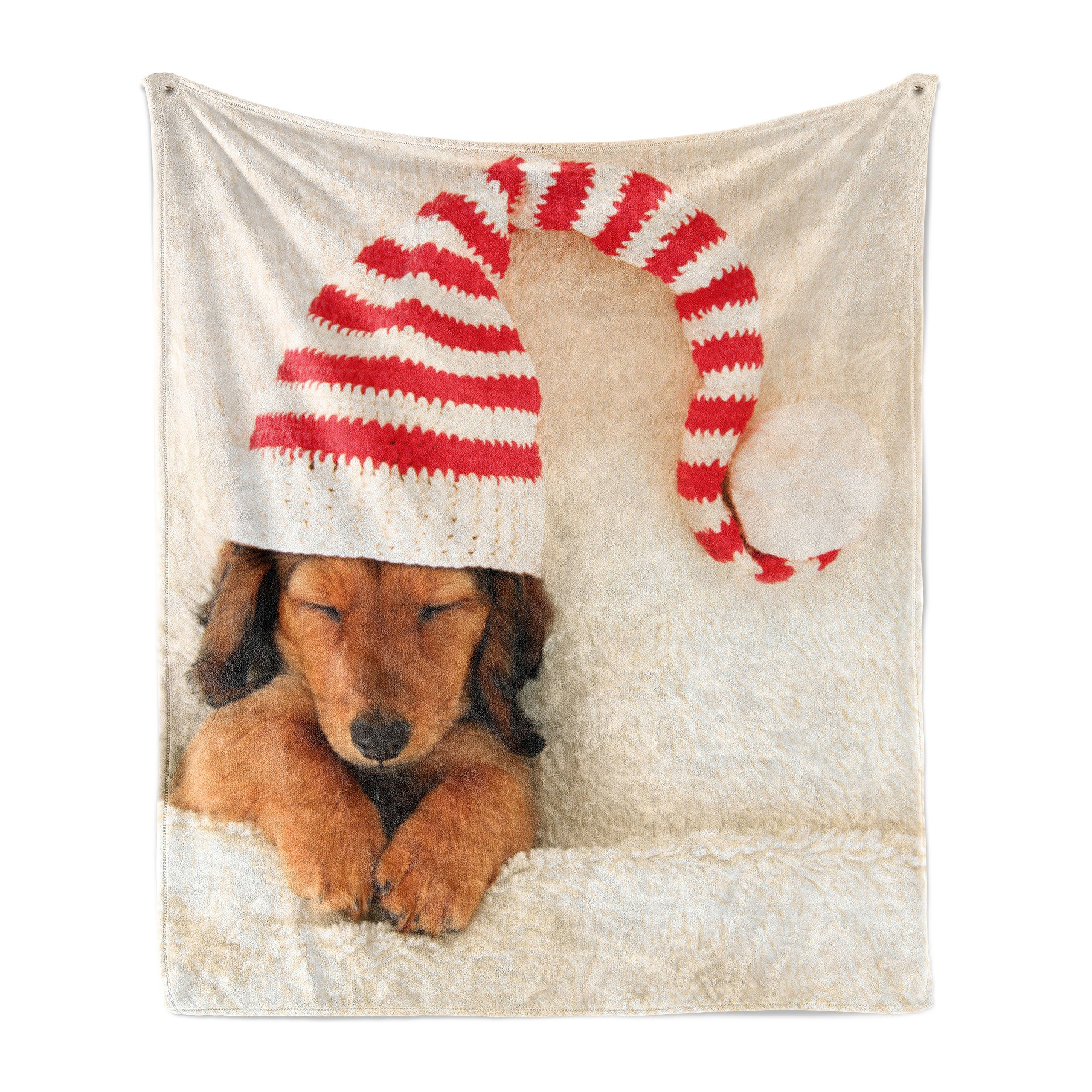 Wohndecke Gemütlicher Plüsch für den Innen- und Außenbereich, Abakuhaus, Dackel Hund in der Weihnachts Elf-Hut