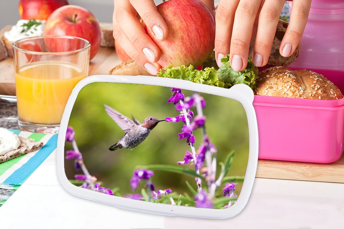 Kunststoff, Erwachsene, rosa für Vogel Kinder, Natur, Brotdose MuchoWow Mädchen, Brotbox - Kolibri (2-tlg), Lunchbox Snackbox, - Kunststoff