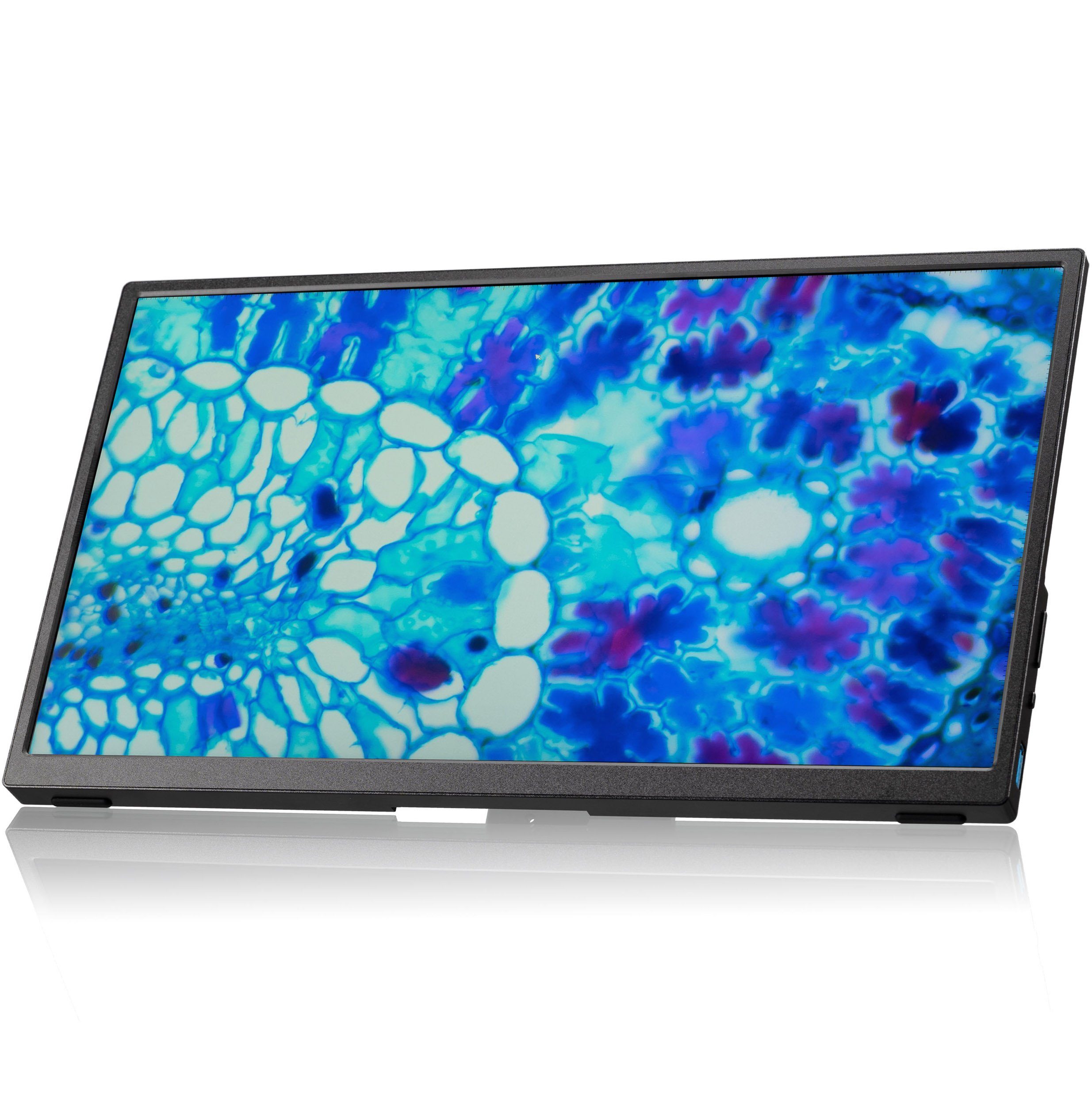 BRESSER BRESSER Full HD Display (13.3) für MikroCam Pro + MINI HDMI Auf- und Durchlichtmikroskop