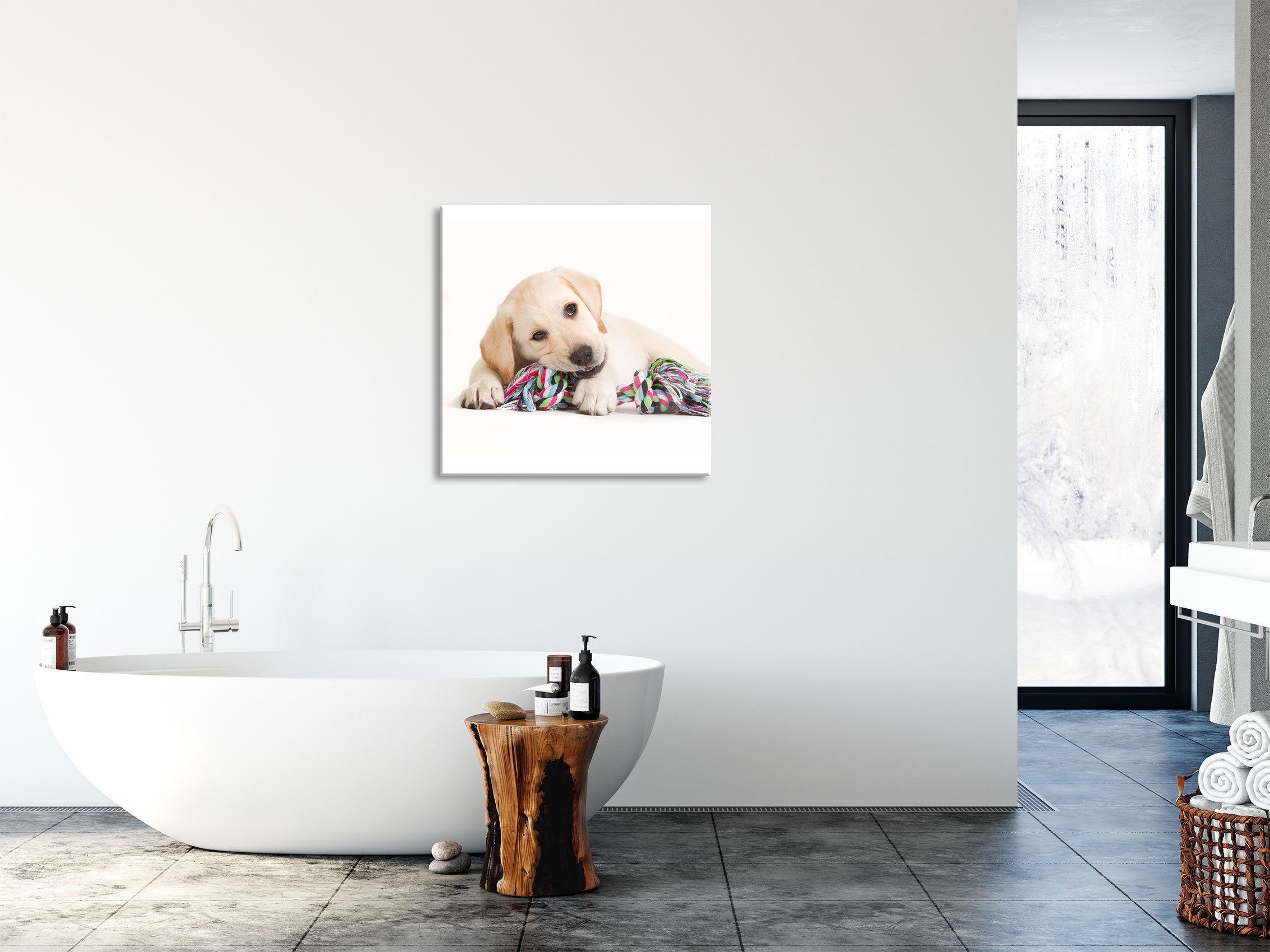 Pixxprint Glasbild Hundewelpe, inkl. Aufhängungen Abstandshalter aus Echtglas, St), Hundewelpe (1 Glasbild und