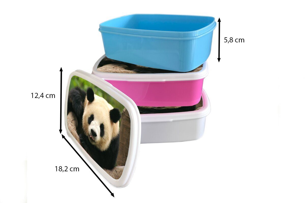 MuchoWow Lunchbox Tiere - Panda Erwachsene, für weiß Bäume, (2-tlg), und Brotbox für Jungs Mädchen und Brotdose, Kunststoff, - Kinder