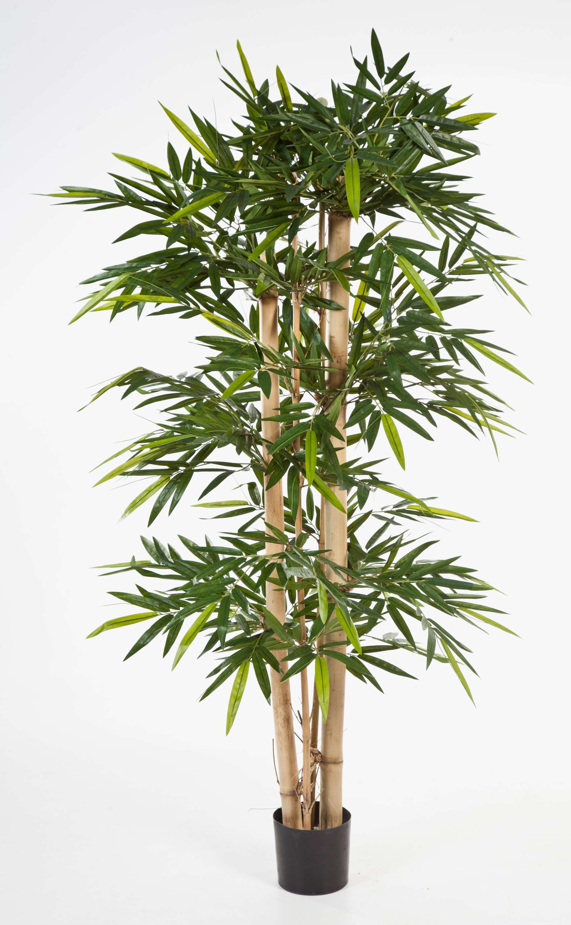 Kunstbambus Deko Bambus KISHO, 1660 grüne Blätter, kräftige Stämme, 210cm Bambus, artplants, Höhe 210.0 cm