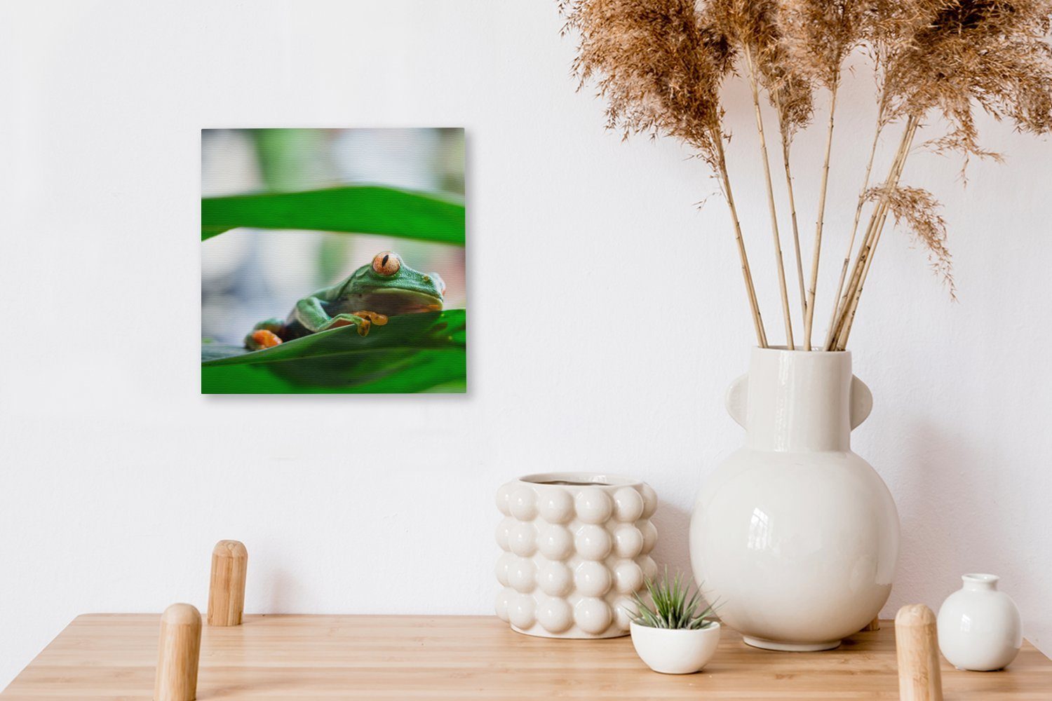 Leinwand (1 Wohnzimmer Leinwandbild von Frösche für OneMillionCanvasses® Rica, der Schlafzimmer Natur in St), Bilder Costa