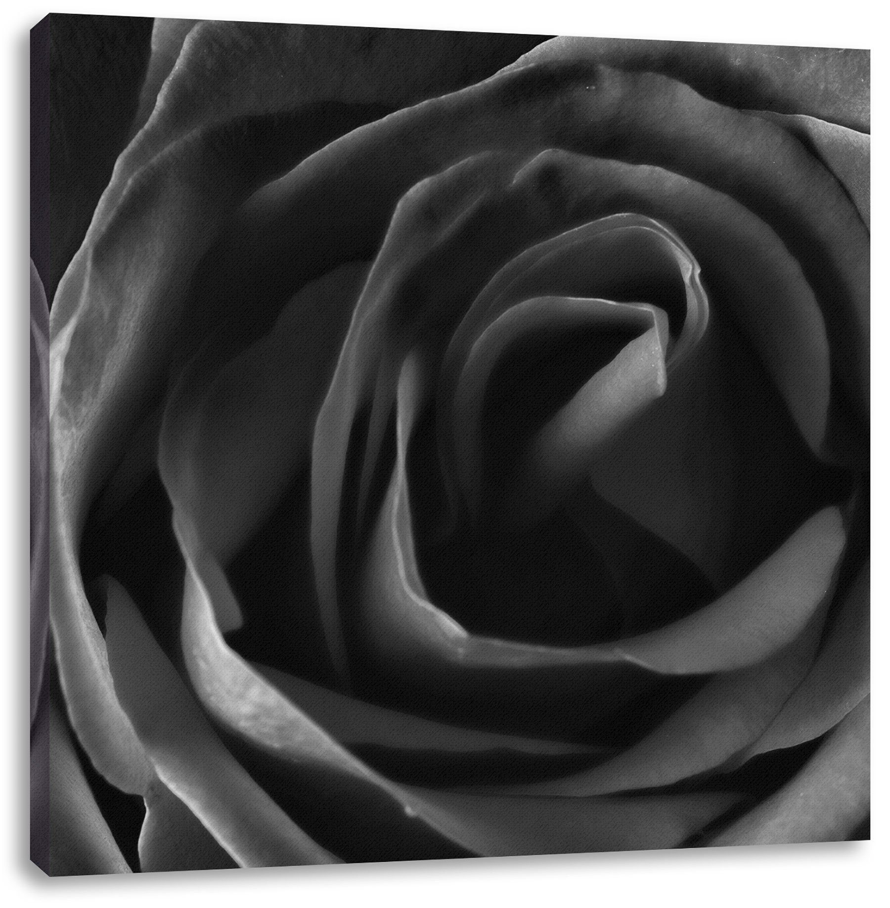 Pixxprint (1 Rote Zackenaufhänger Leinwandbild Rose, Leinwandbild inkl. Rote St), Rose fertig bespannt,