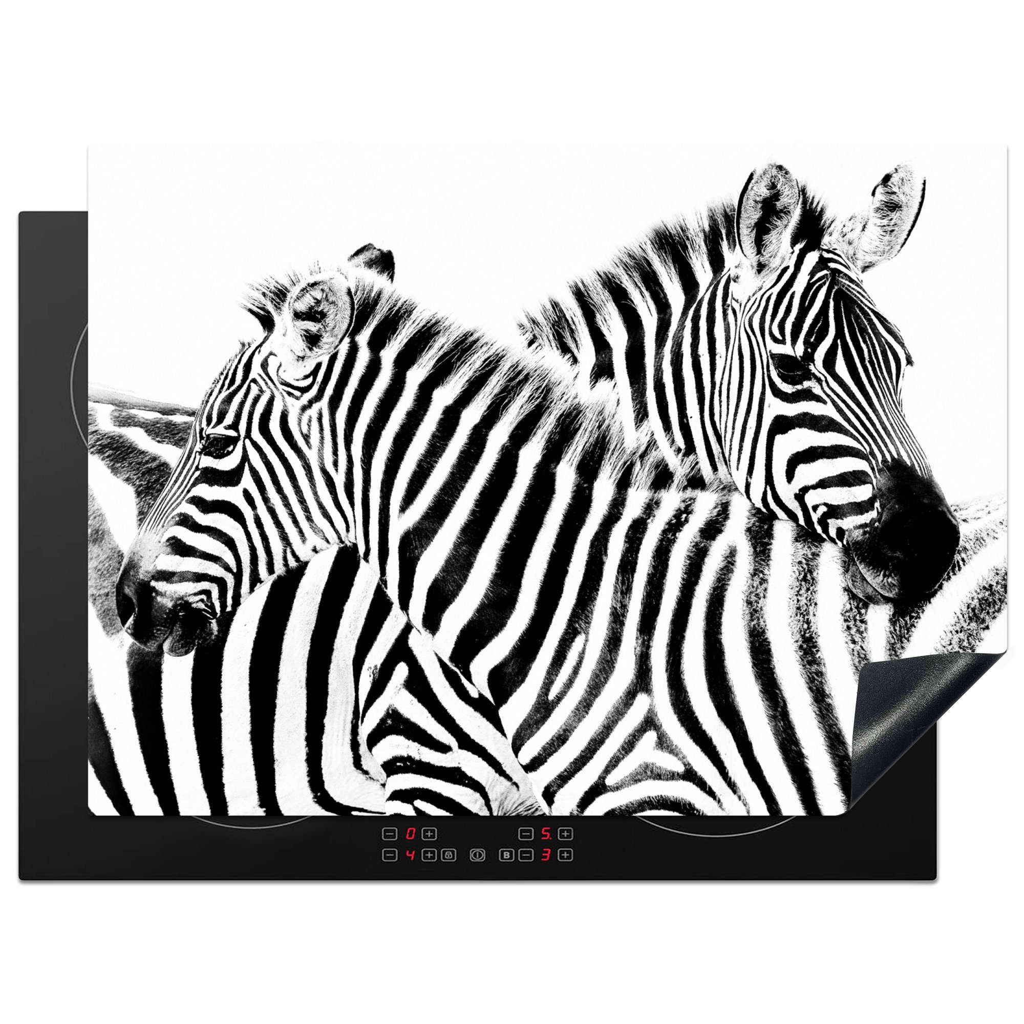MuchoWow Herdblende-/Abdeckplatte Zwei Zebras auf weißem Hintergrund, Vinyl, (1 tlg), 70x52 cm, Mobile Arbeitsfläche nutzbar, Ceranfeldabdeckung