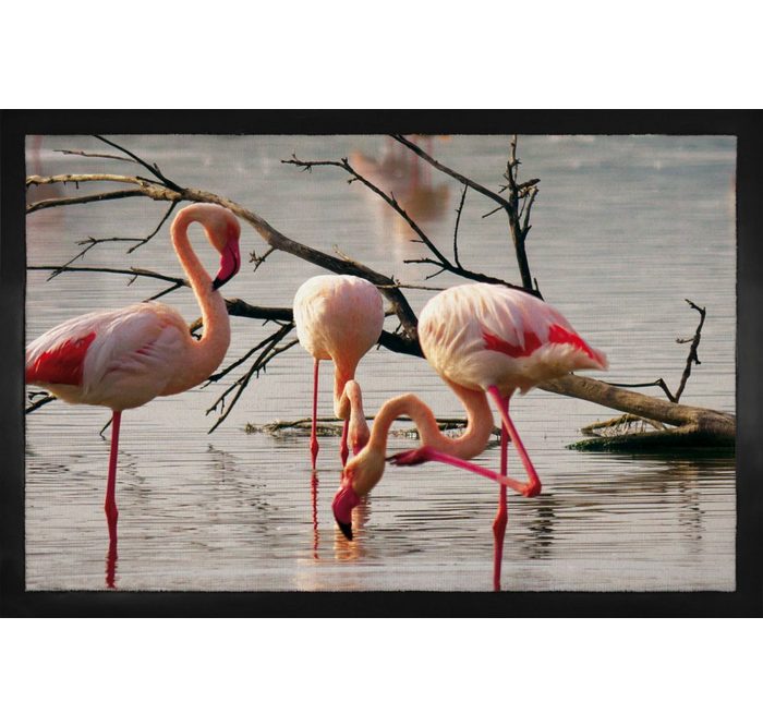 Fußmatte Flamingos - Rosa Flamingos In Einem Teich In Der Camargue 1art1 Höhe: 5 mm